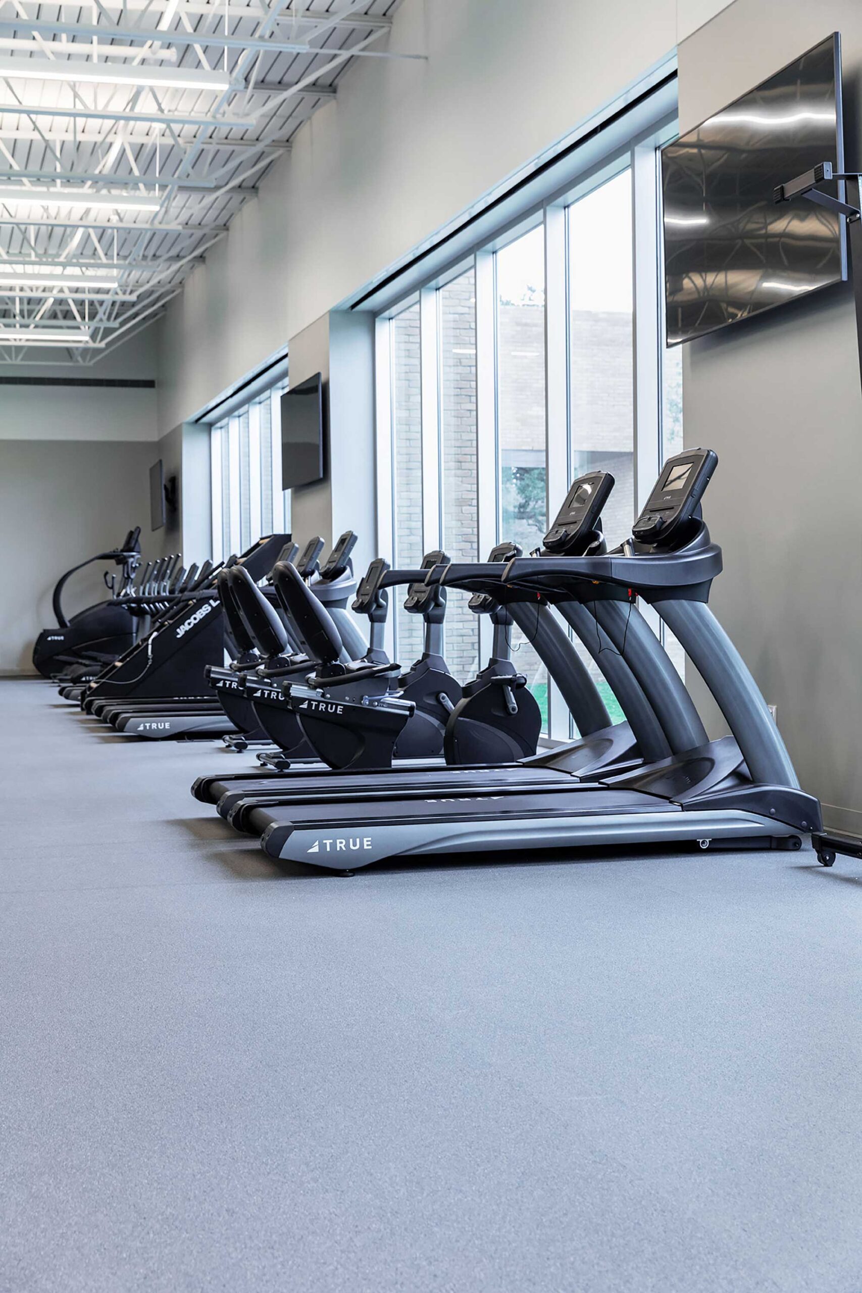 A row of modern treadmills and elliptical machines in a bright, spacious gym with large windows and wall-mounted TVs. The gym is empty and well-lit with natural light.