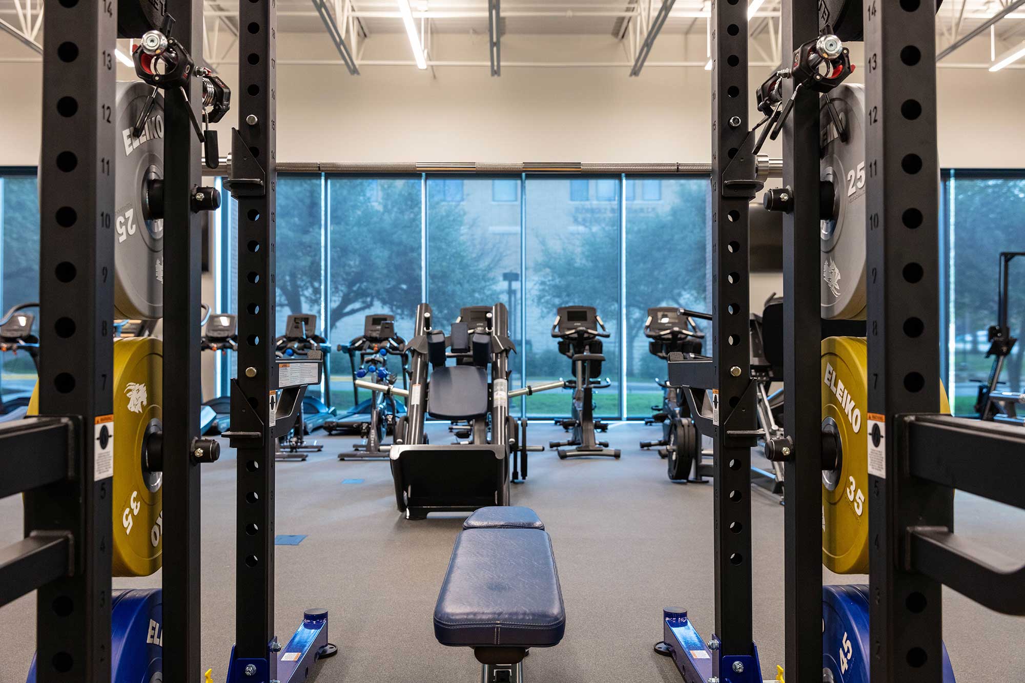 A gym with weightlifting equipment, including a bench and weight plates in the foreground, and stationary bikes lined up near large windows in the background. Trees are visible outside the windows.