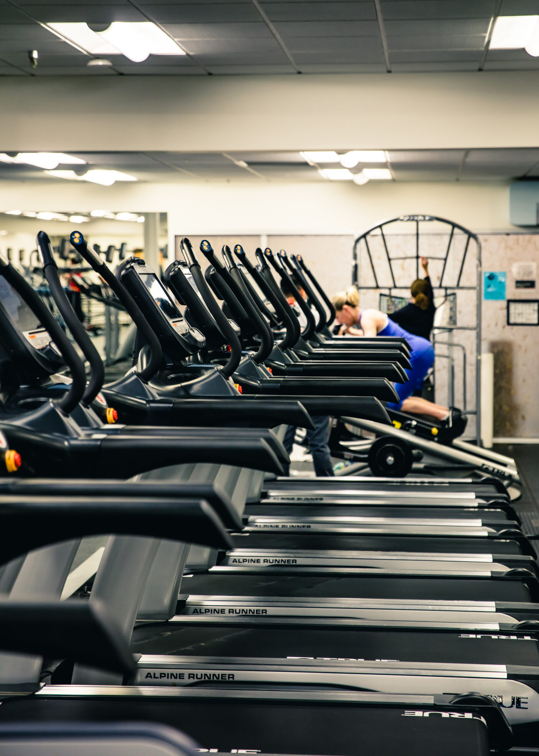 Rows of treadmills in a gym, with a person in workout clothes using a machine in the background. The gym is well-lit with various exercise equipment visible.