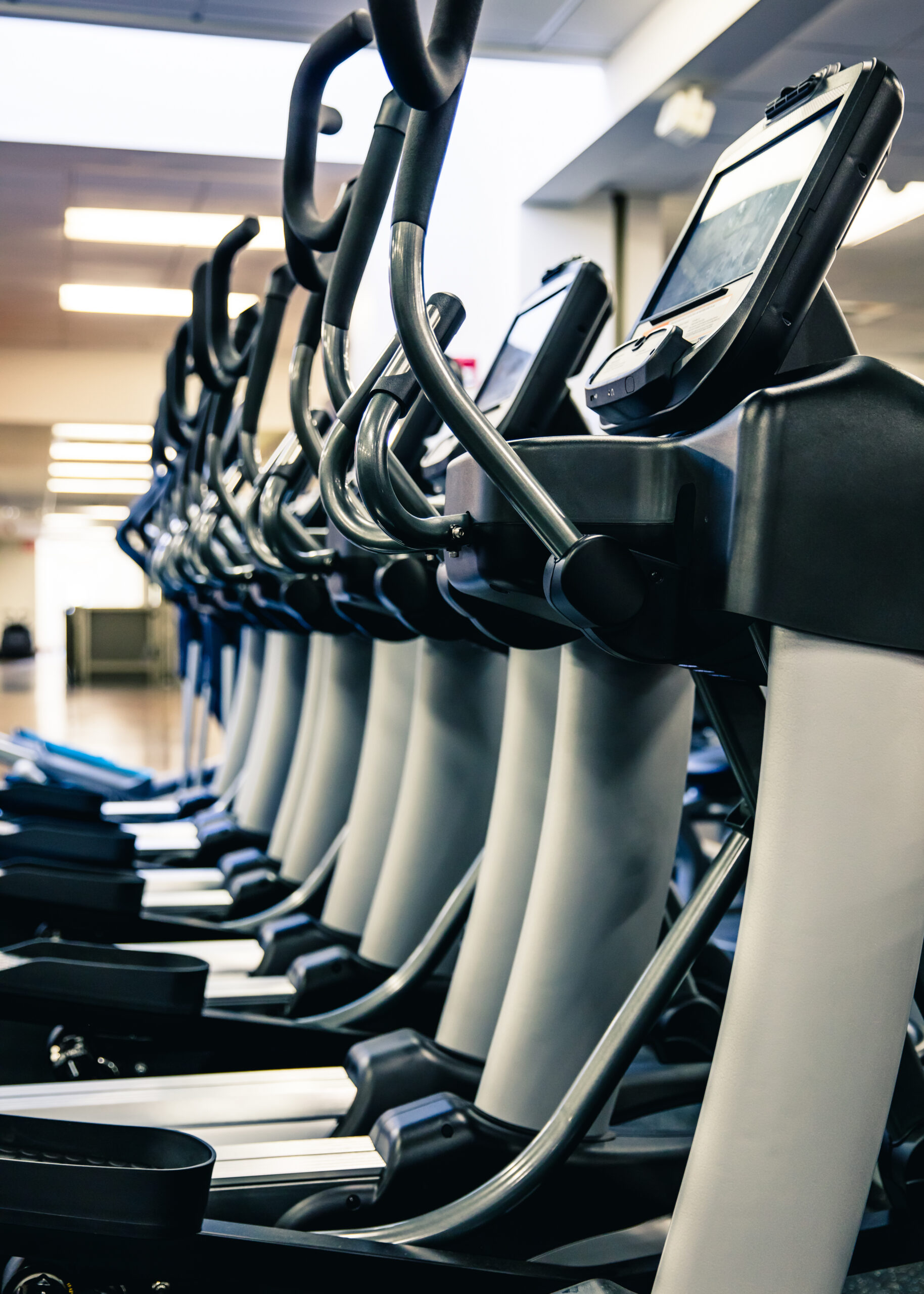 A row of elliptical machines lined up in a brightly lit gym, each with a digital display and handlebars, ready for use.