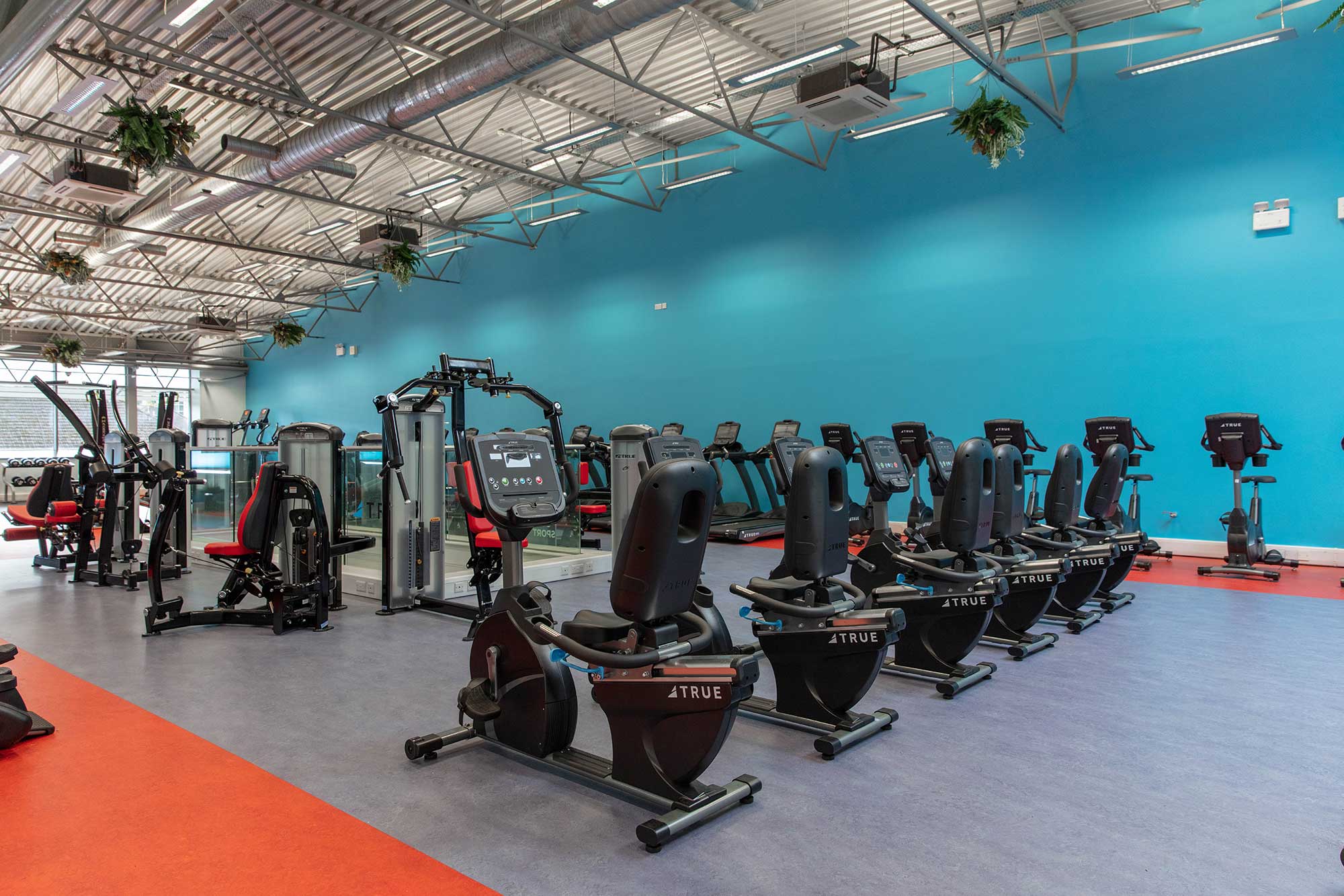A spacious gym with rows of fitness machines, including stationary bikes and strength equipment, on blue and orange flooring. The room has a high, industrial ceiling and bright blue walls.