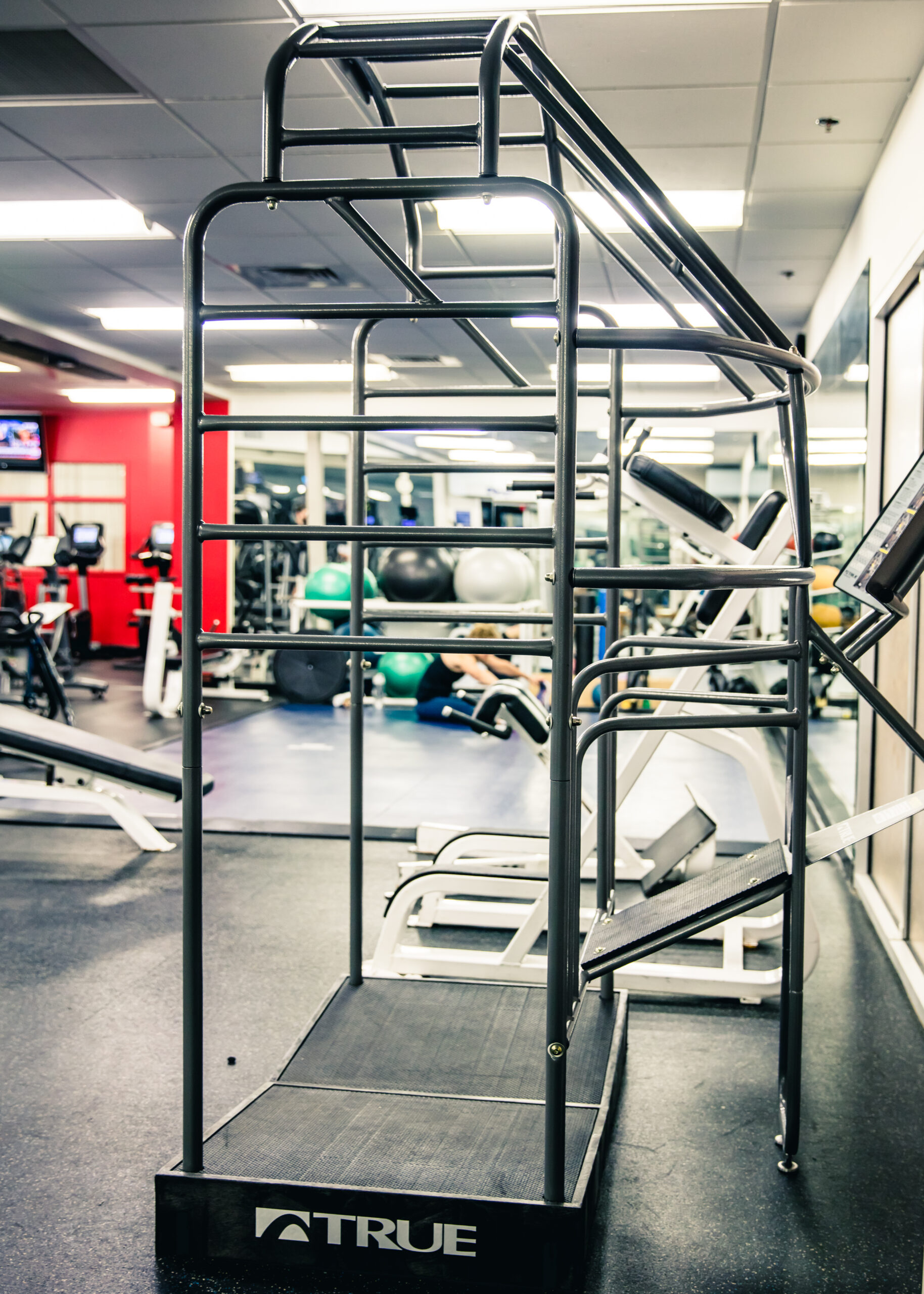 A metal fitness apparatus with multiple horizontal and angled bars stands in a gym, surrounded by exercise equipment, mirrors, and fitness balls; the brand “TRUE” is visible at the base.