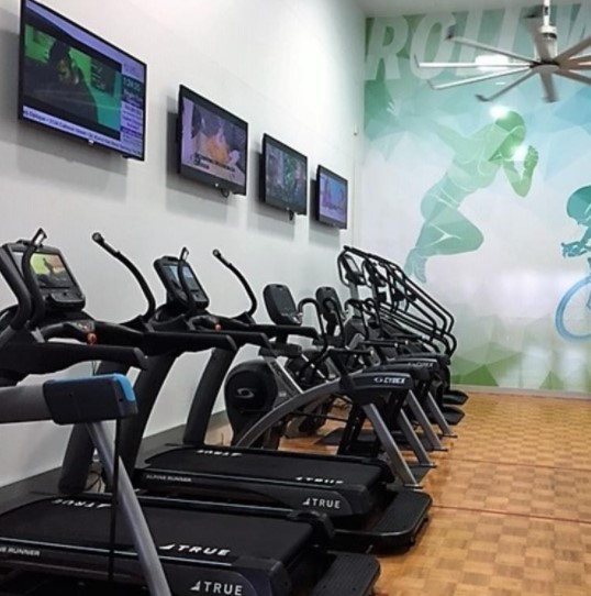 A row of treadmills and elliptical machines lines a gym wall, with multiple TVs mounted above them. The wall features large illustrations of people running and cycling in blue and green tones.