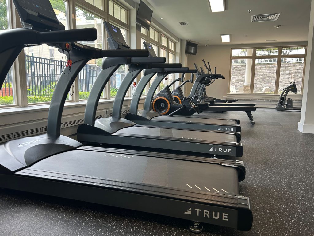 A row of treadmills and elliptical machines in a bright, modern gym with large windows letting in natural light. A stationary bike and a weight bench are visible in the background.