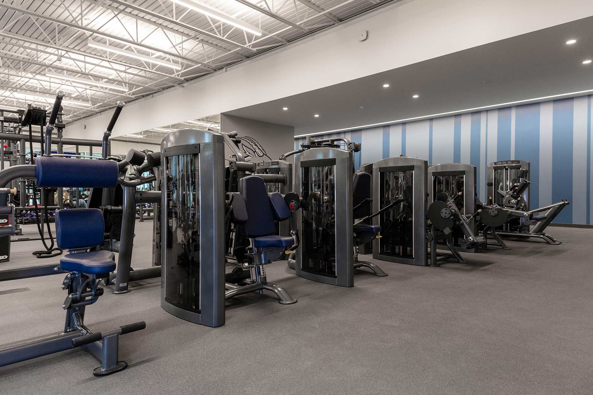 A modern gym with various strength training machines lined up on a clean, gray carpeted floor under bright, industrial-style lighting and blue-striped accent wall. No people are present.