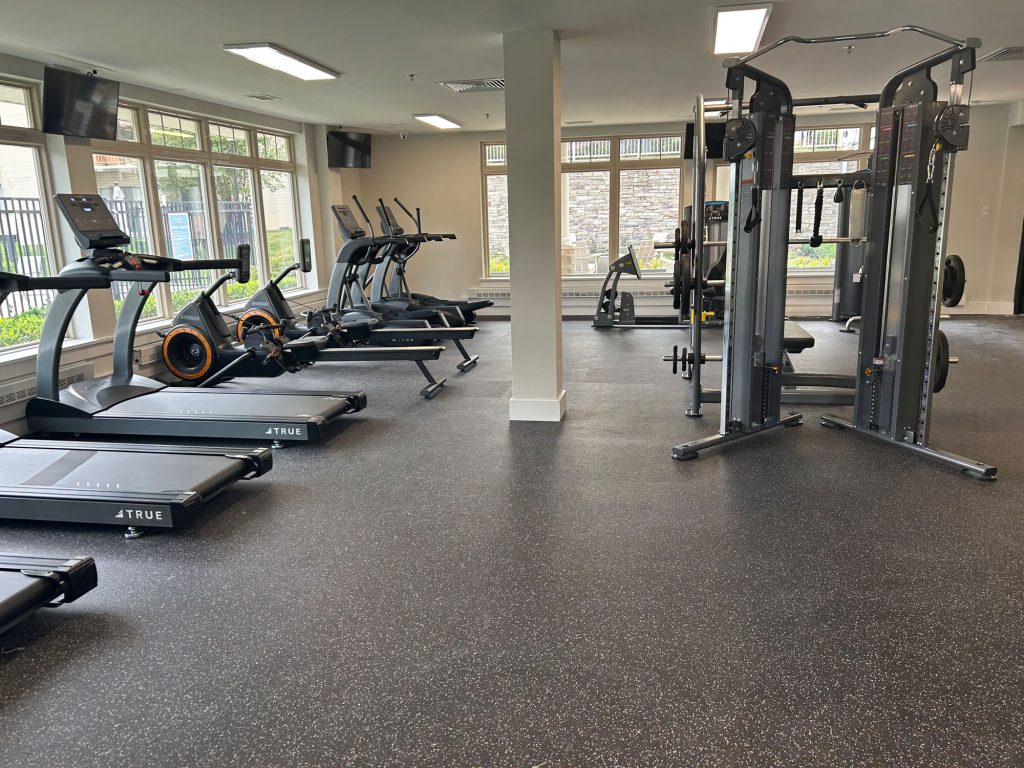 A modern gym with large windows, several treadmills, stationary bikes, and strength training machines on black flooring; the space is clean, bright, and spacious.