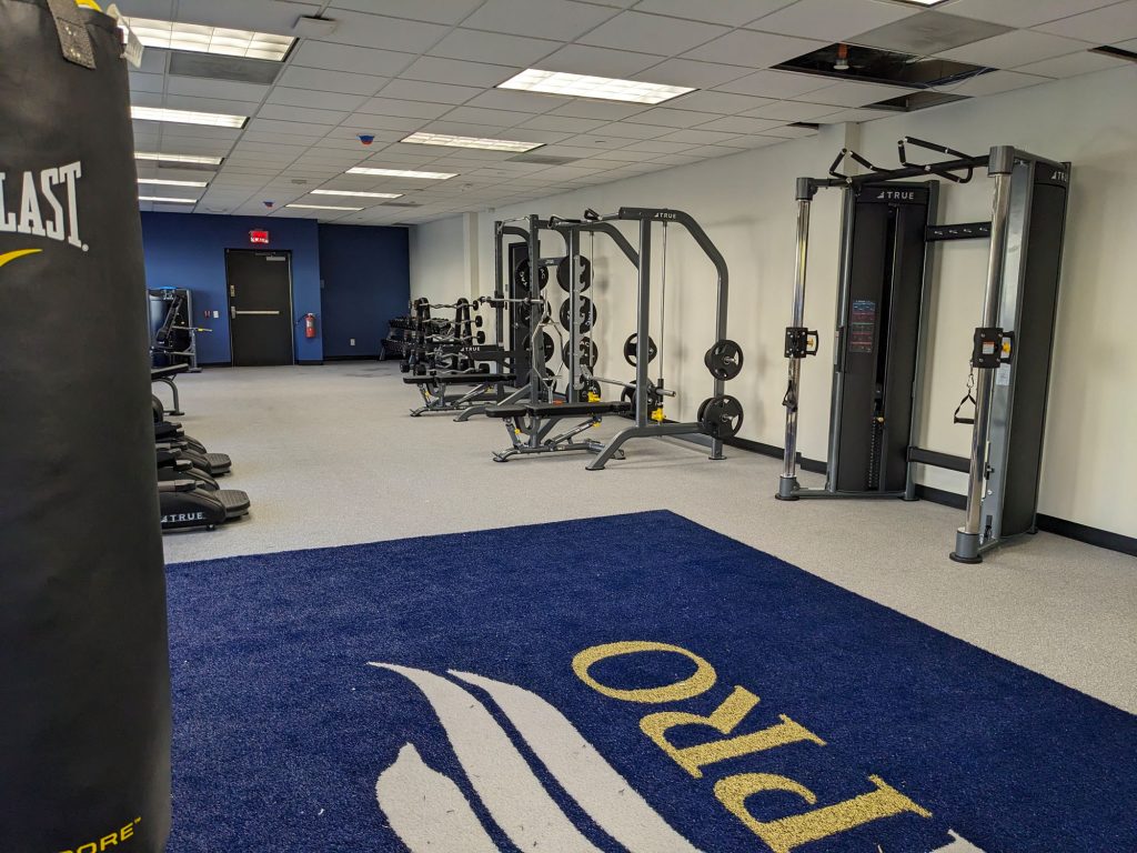 A gym with free weights, weight racks, a cable machine, treadmills, and a black Everlast punching bag. The floor has a blue mat with a partial white and yellow logo near the entrance.