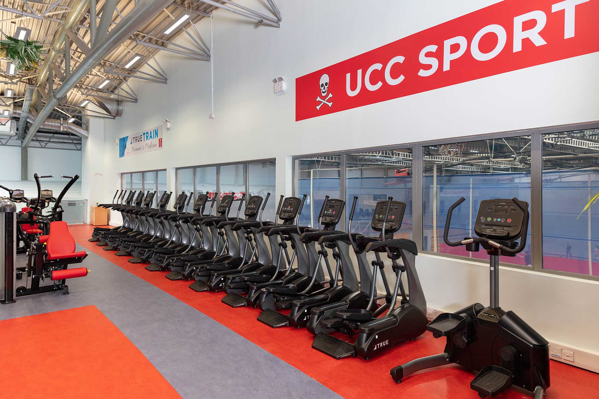A row of elliptical machines and exercise bikes lines a gym with red and gray flooring. A large sign reading UCC SPORT is displayed on the wall above the equipment. Glass windows overlook indoor sports courts.