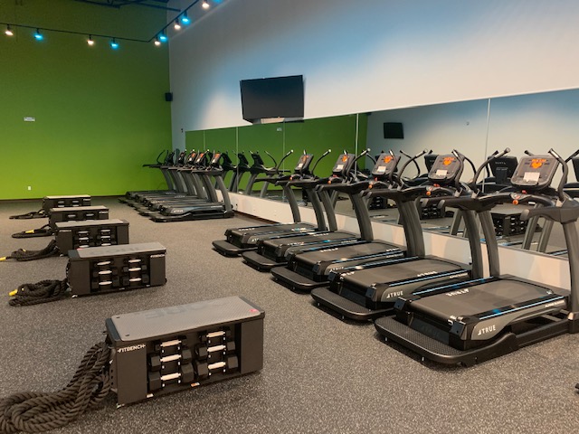 A gym with several treadmills lined up beside a mirrored wall, a mounted TV above them, green walls, and black exercise equipment with battle ropes on the floor in the foreground.