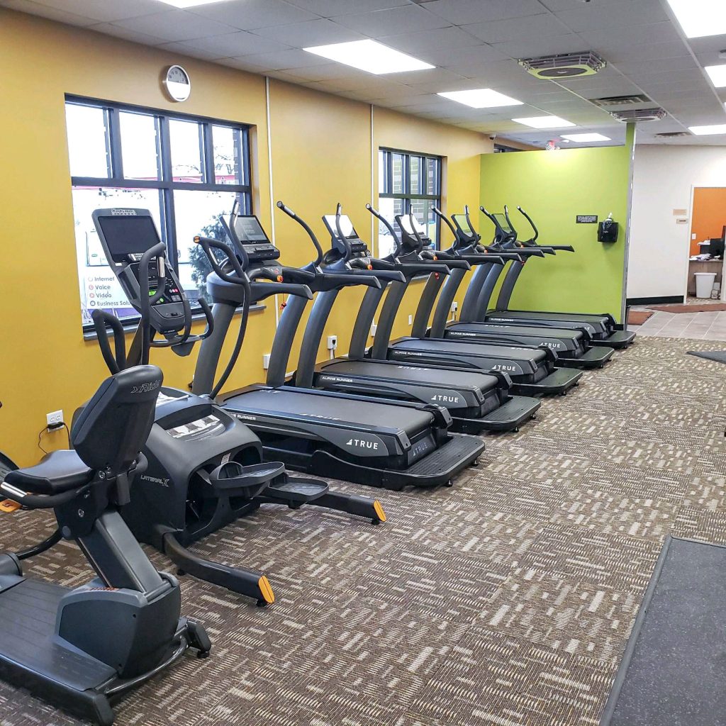 A row of treadmills and stationary bikes is lined up in a brightly lit gym with yellow and green walls, large windows, and patterned carpet flooring.