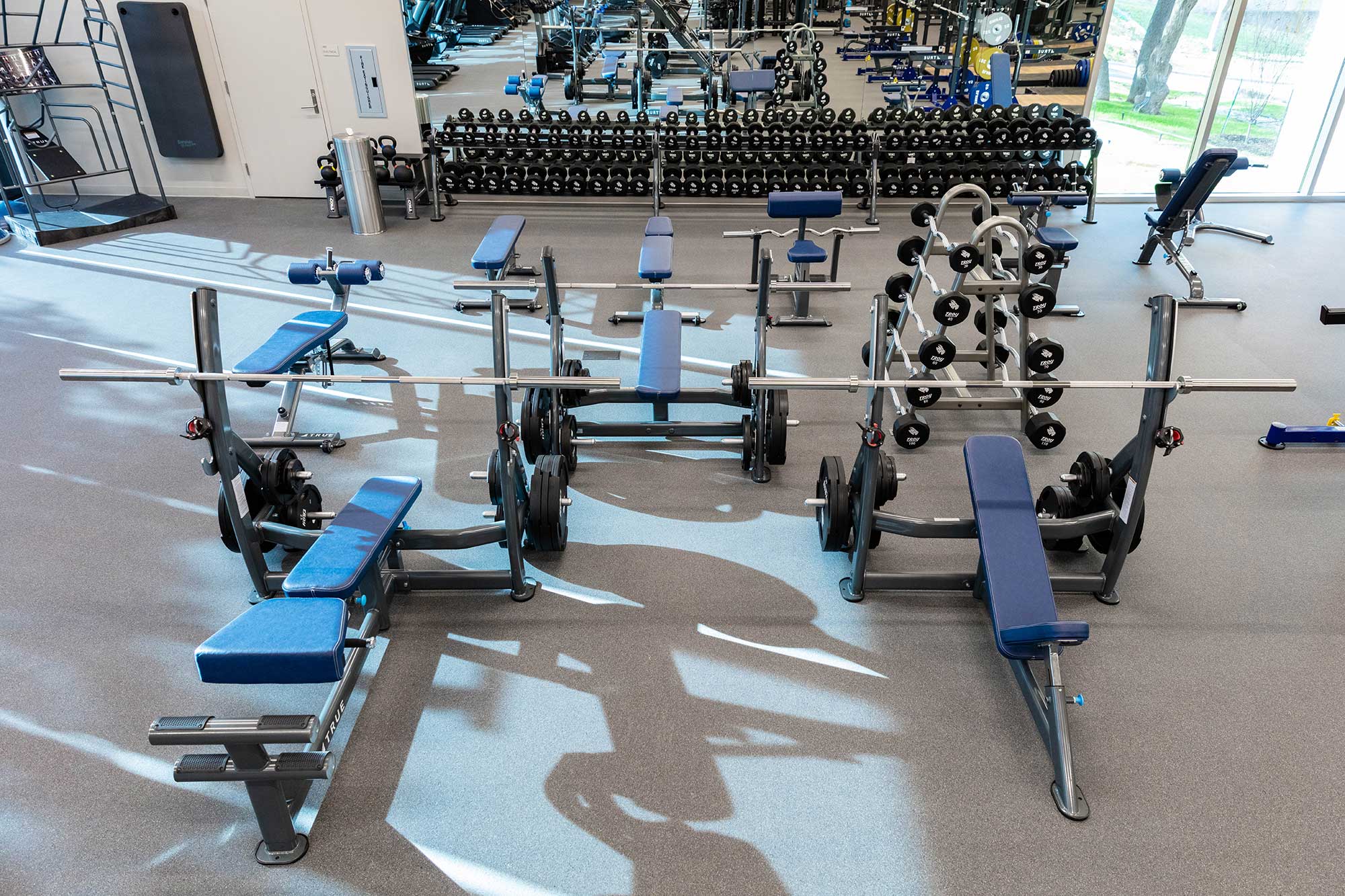 A spacious gym with blue bench press stations, various weights on racks, mirrors on the wall, and large windows letting in natural light. Multiple benches and weightlifting equipment are neatly arranged.