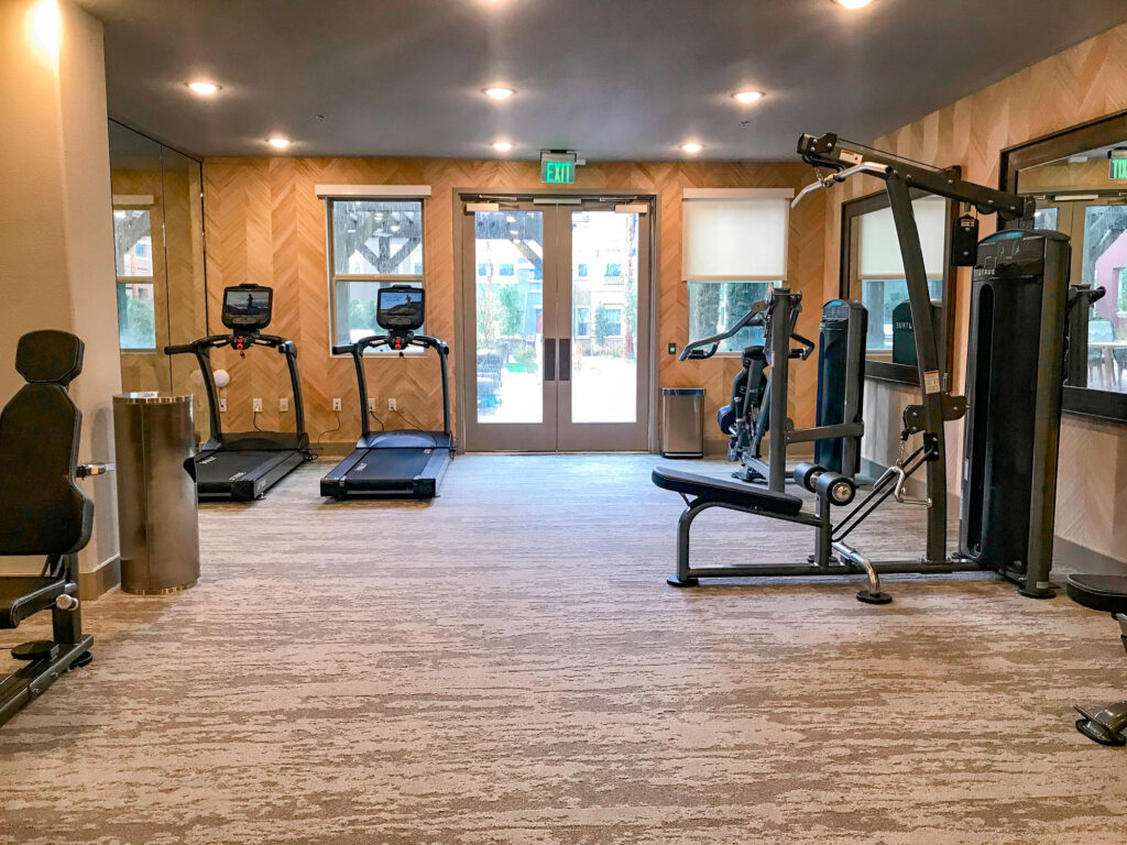 A modern gym with treadmills, a weight machine, and other fitness equipment on a light carpeted floor, large windows, and mirrors on the walls.
