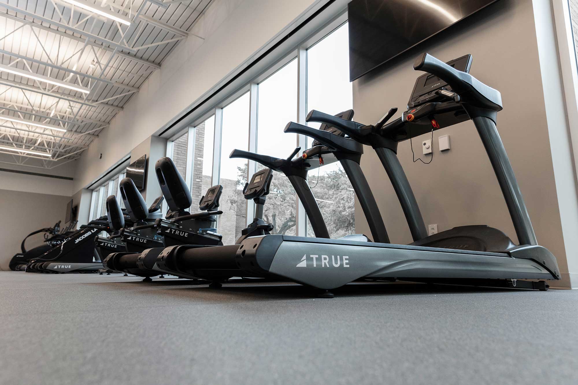 A row of modern treadmills and exercise bikes in a bright, spacious gym with large windows and high ceilings.