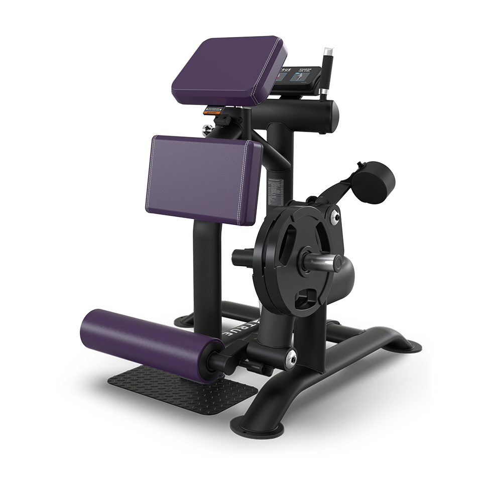 A black and purple gym machine with padded supports and a weight-loaded lever, designed for seated leg and knee exercises, set against a plain white background.