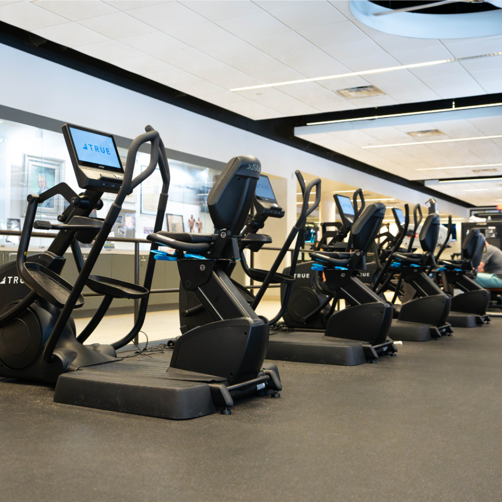 A row of black elliptical machines is lined up in a modern, well-lit gym with large windows and a clean, spacious interior.