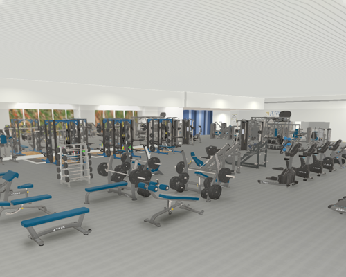 A spacious gym with various exercise machines, free weights, benches, and cardio equipment arranged neatly on a gray floor under bright lighting. Large mirrors and wall art are visible in the background.