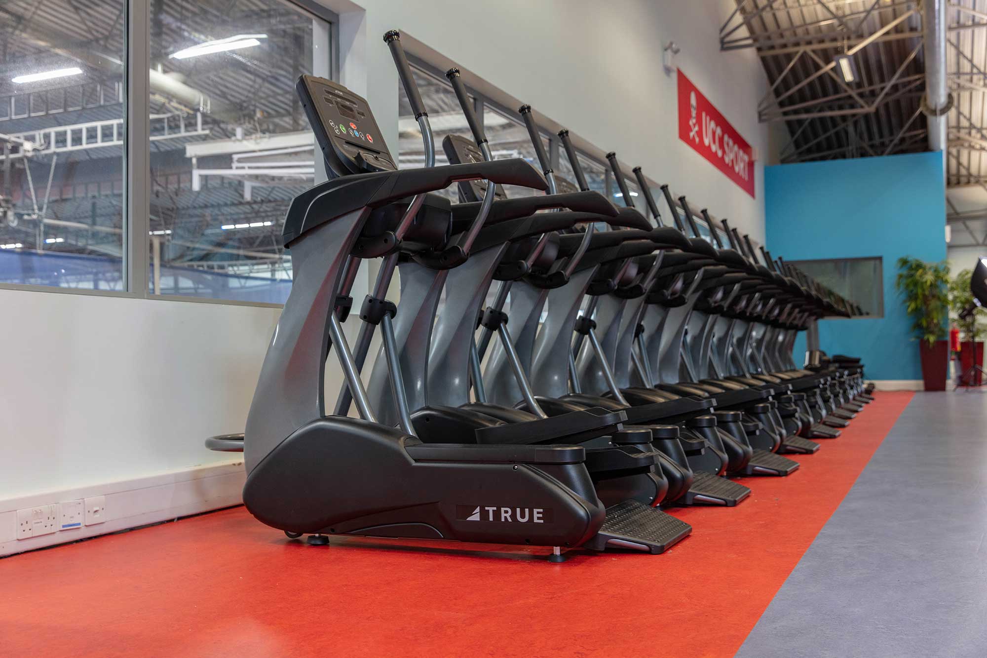 A row of black treadmills lines a red floor in a gym with large windows, high ceilings, and bright lighting.