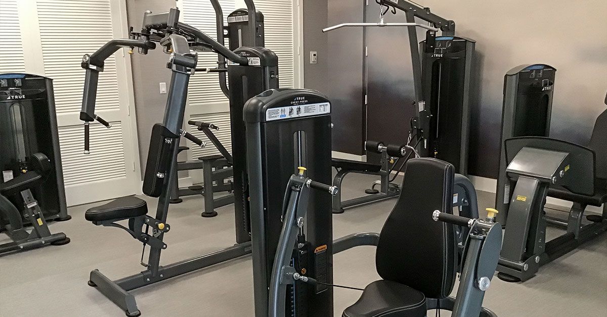 Strength Training Equipment for Seniors: 7 Effective Options