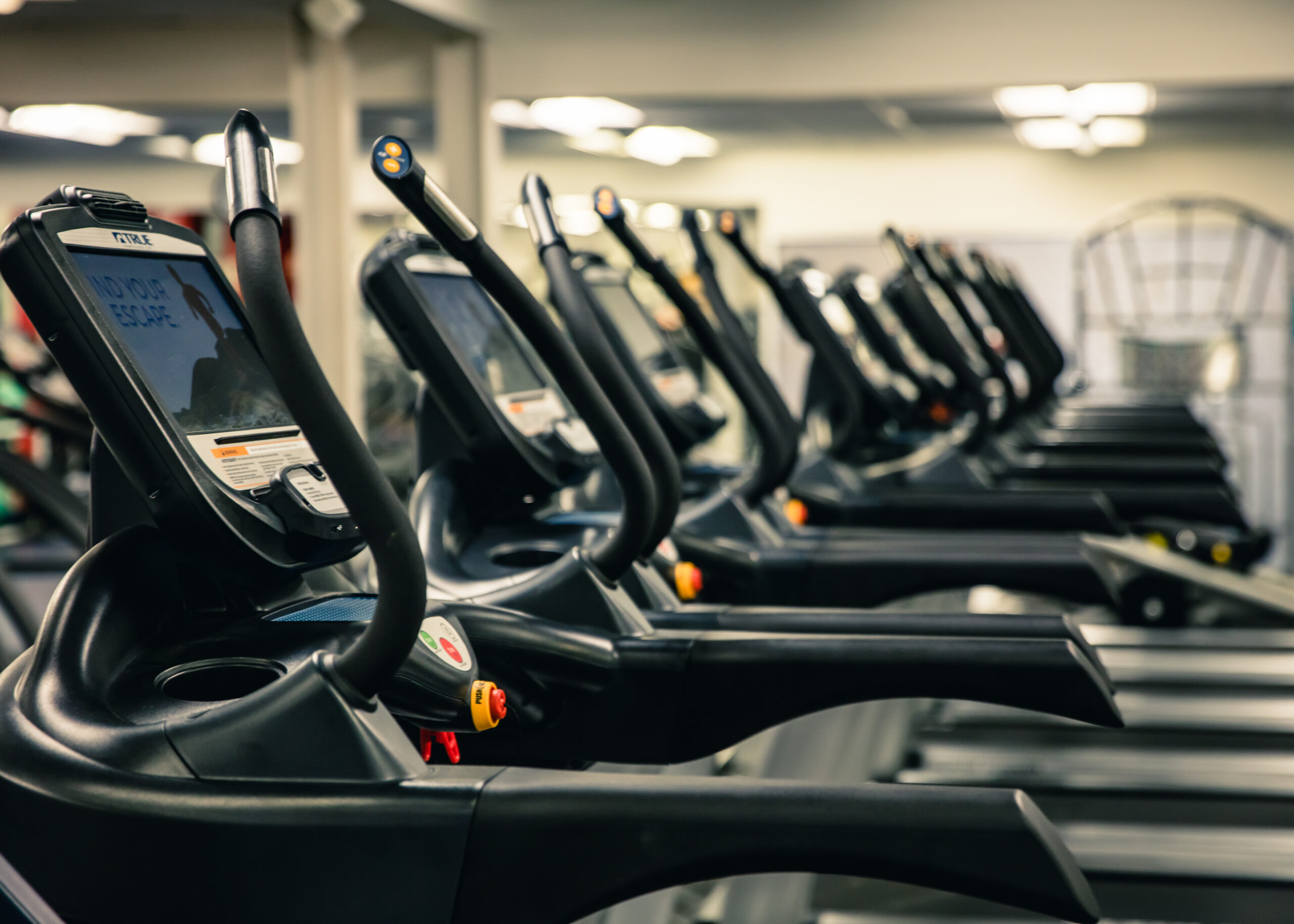 A row of treadmills with digital screens lined up in a modern, well-lit gym. The machines are empty, and the gym appears clean and organized.