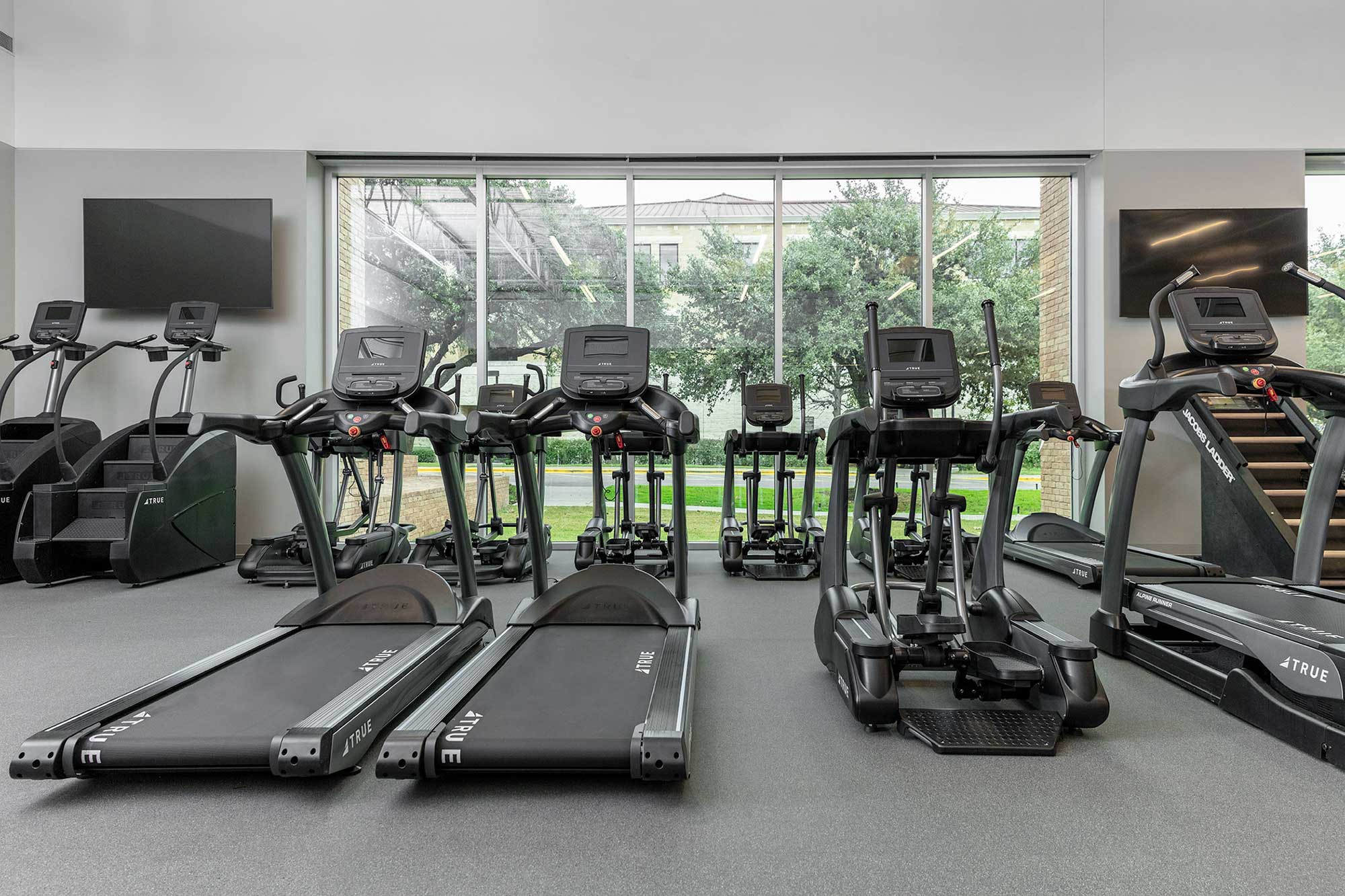 A modern gym with several treadmills and elliptical machines facing large windows, allowing natural light to fill the space. Trees and buildings can be seen outside through the windows.