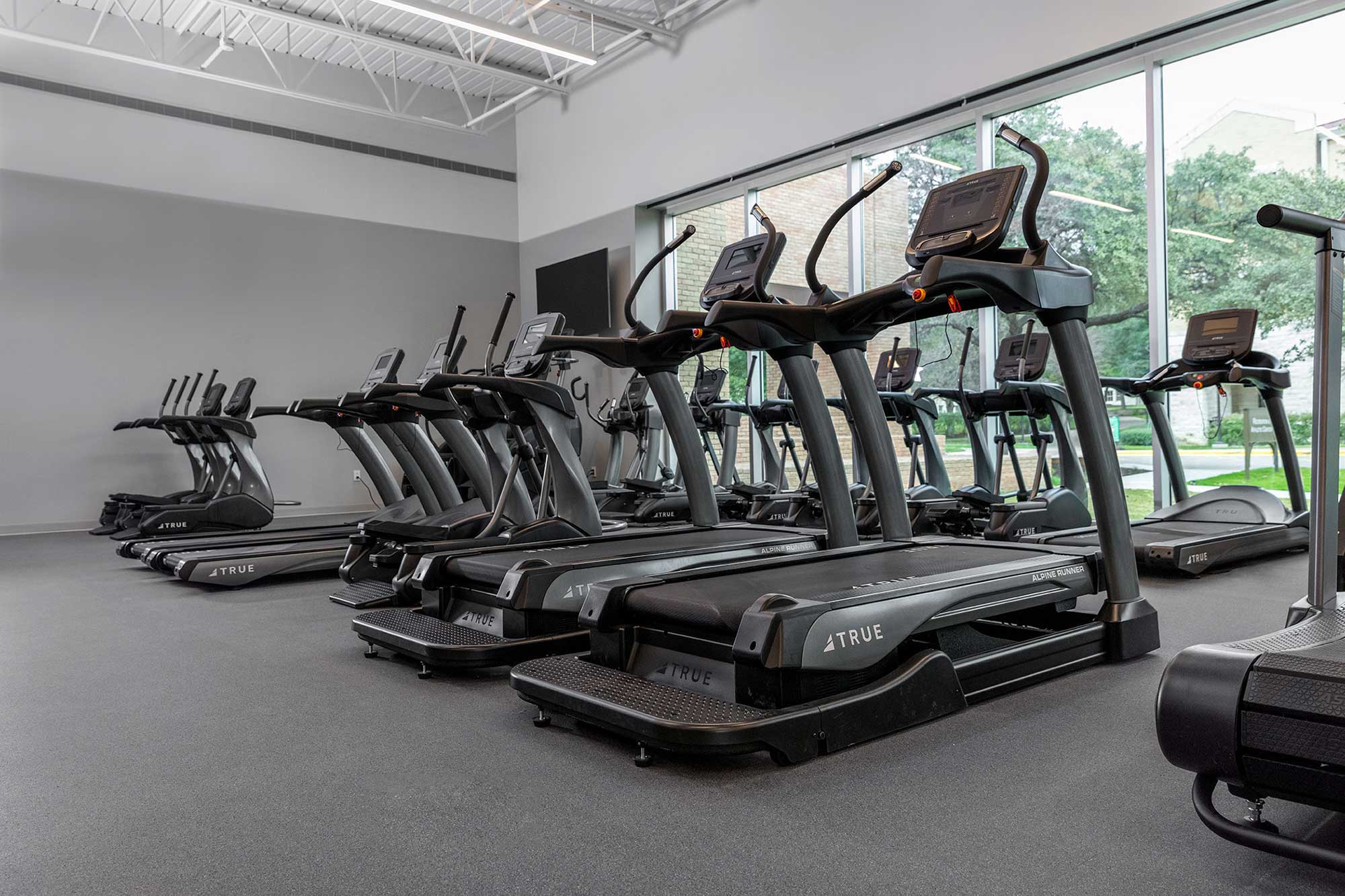 A row of treadmills in a modern gym with large windows letting in natural light. The room has gray flooring and walls, and the treadmills face the windows, offering a view of trees and buildings outside.