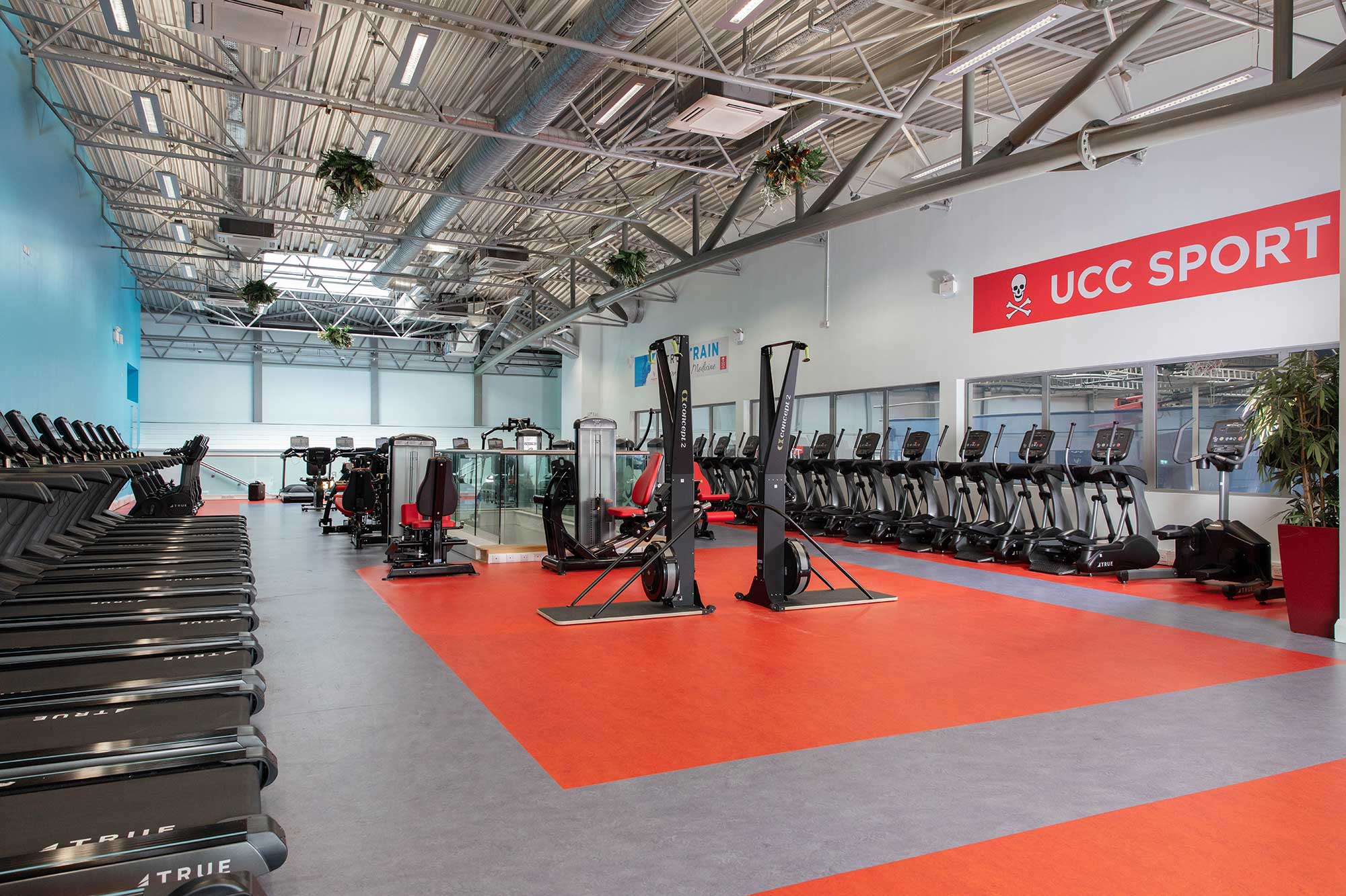A spacious, modern gym with treadmills, ellipticals, and other fitness machines. The floor has red and gray sections, large windows provide natural light, and a UCC SPORT sign is displayed on the wall.