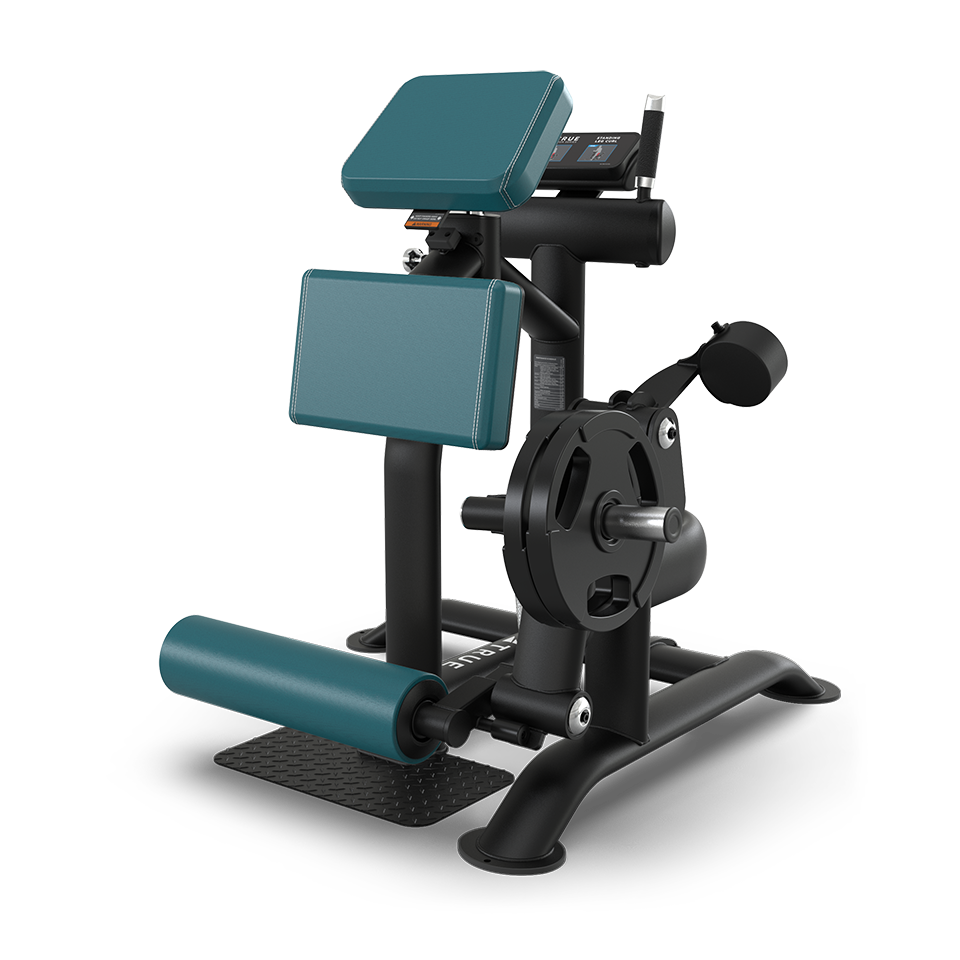 A teal and black gym machine designed for leg exercises, featuring padded supports, a weight plate holder, a foot roller, and a sturdy metal frame on a flat base.