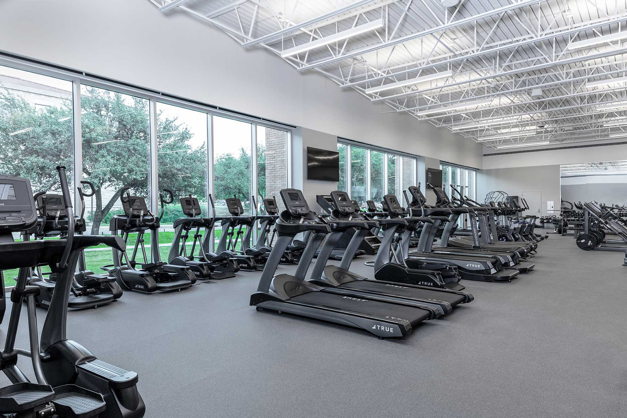 A spacious gym with large windows and rows of treadmills, ellipticals, and stationary bikes on a gray floor. Sunlight streams in, and trees are visible outside. The gym is clean, modern, and empty.