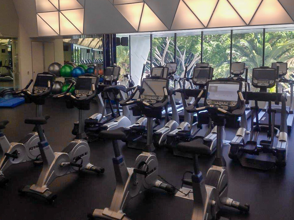 A gym with stationary bikes and elliptical machines facing large windows, with exercise balls and mats in the background. Sunlight streams in, illuminating the modern, clean space.