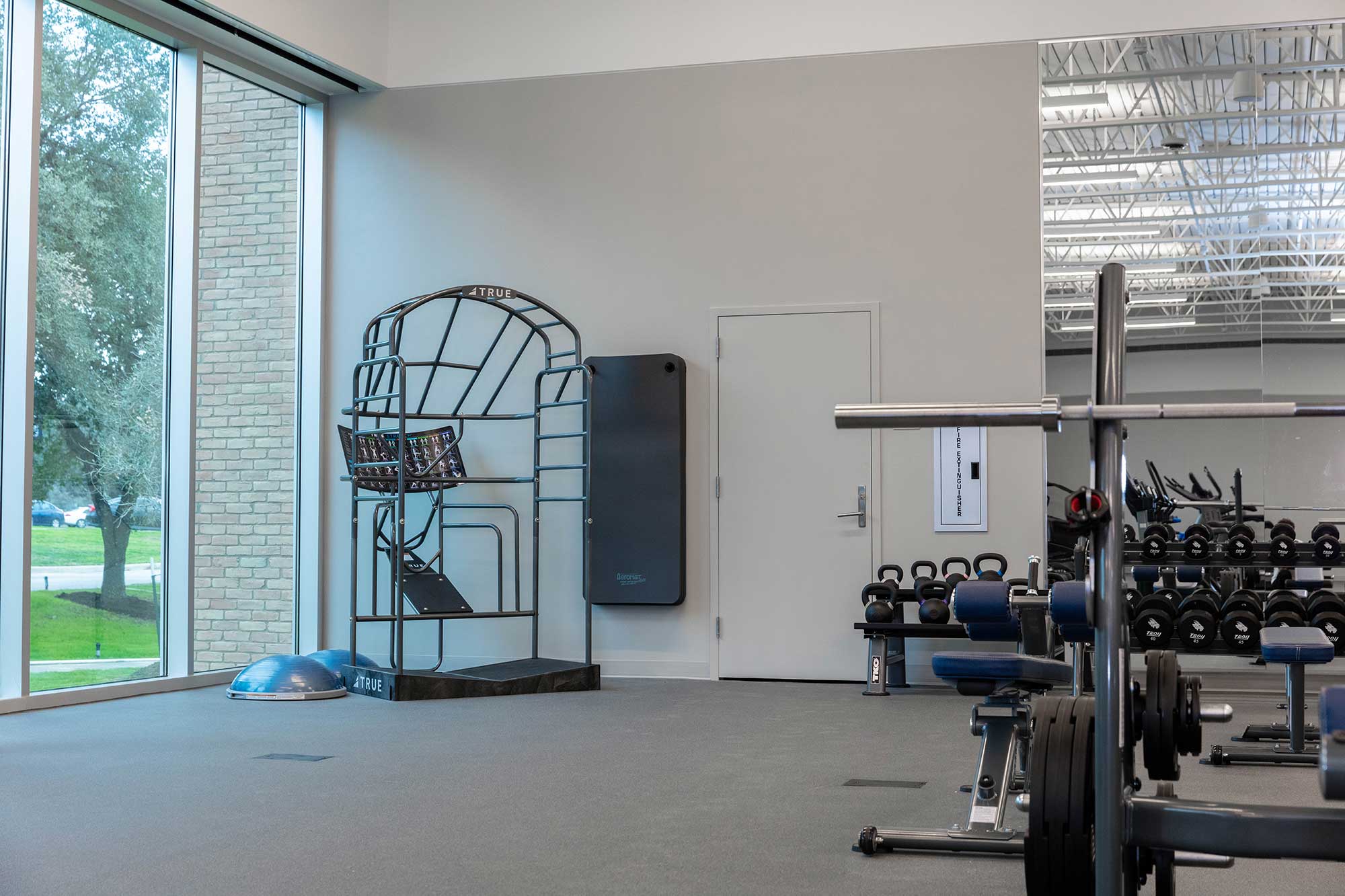 A modern gym with weightlifting equipment, benches, dumbbells, a BOSU ball, and a large window with natural light. An exercise station is in the corner near a closed door.