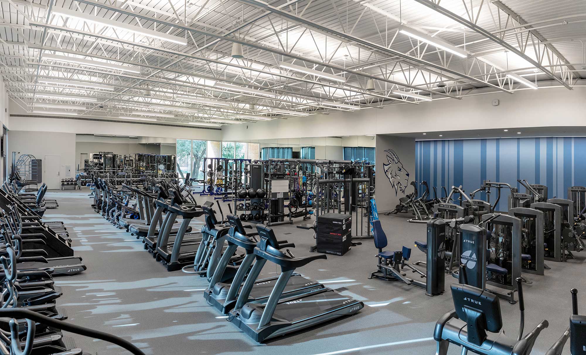 A spacious, modern gym with rows of treadmills, elliptical machines, weight machines, and mirrors. The room features high ceilings, bright lighting, and blue accent walls with a horse graphic.