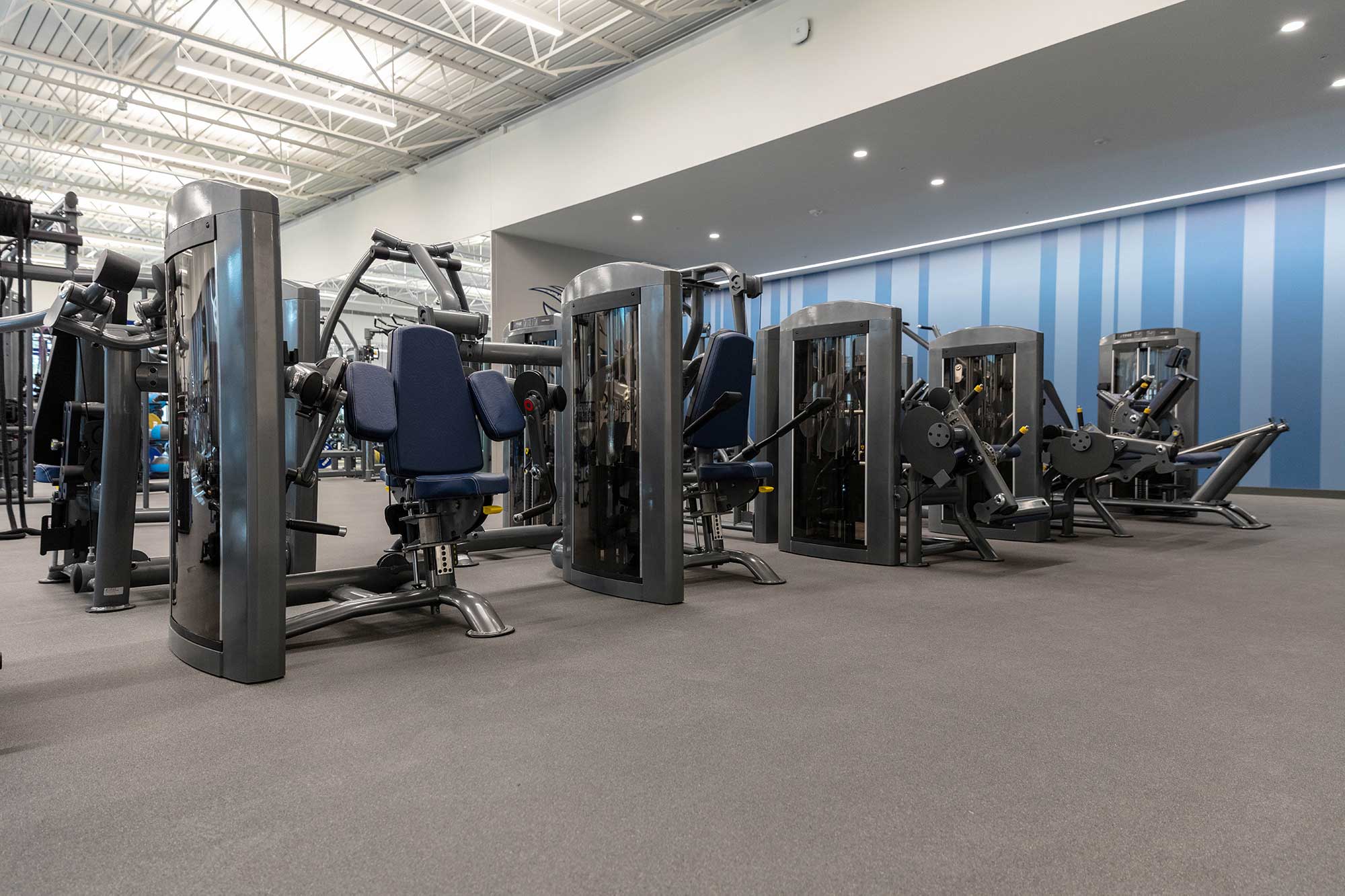 A row of modern strength training machines is arranged neatly in a spacious, well-lit gym with blue walls and a clean, gray carpeted floor.