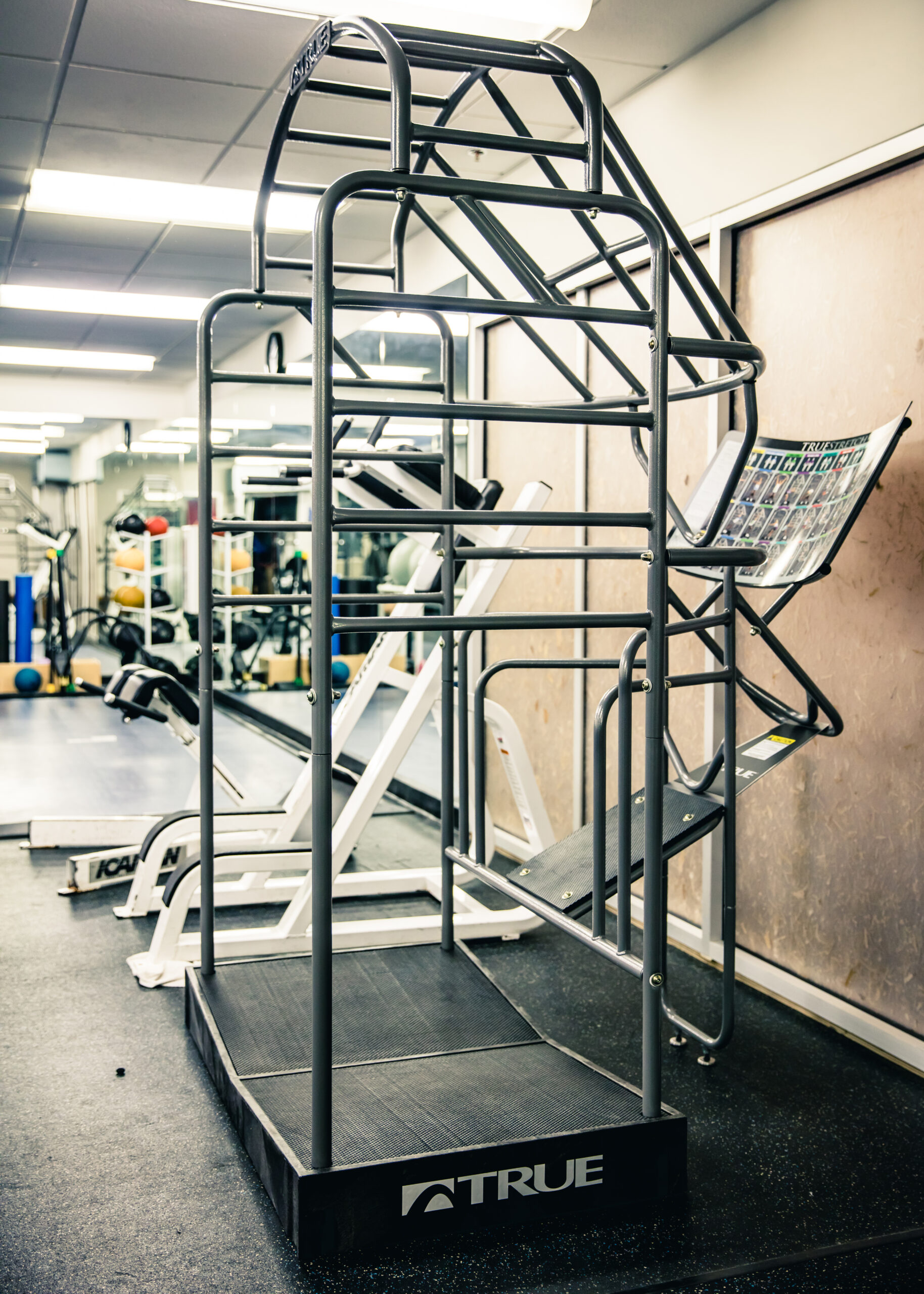 A monkey bar-style gym machine with multiple horizontal and angled bars, labeled TRUE, stands on a black mat in a brightly lit fitness center with various workout equipment in the background.
