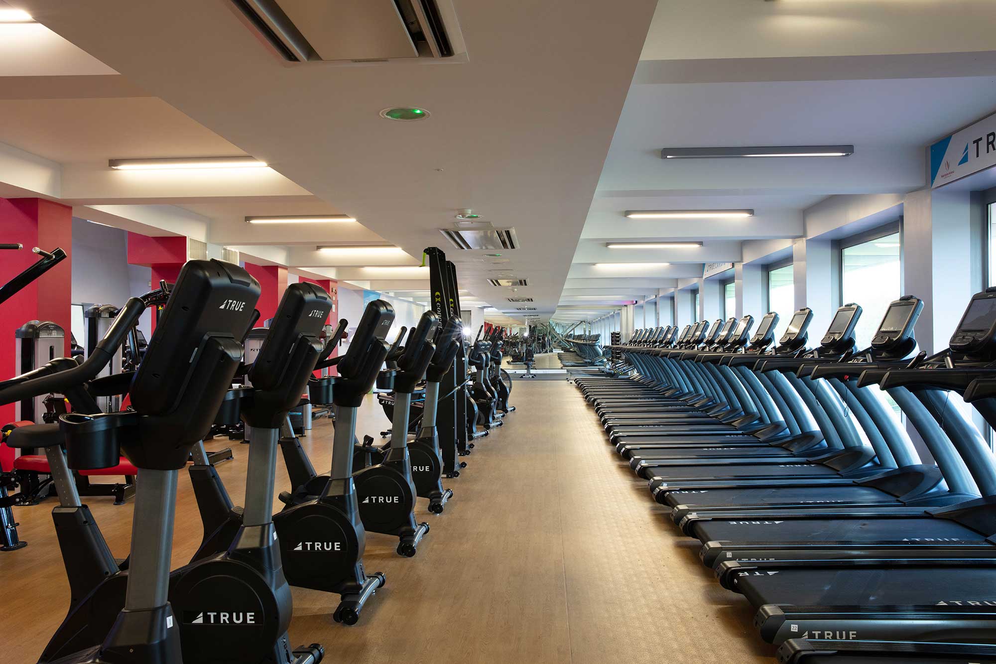 A spacious gym with rows of treadmills and elliptical machines lined up on a wooden floor, bright overhead lighting, and large windows along one wall letting in natural light.