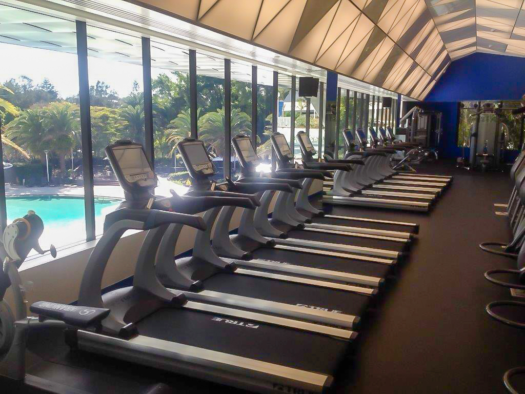 A row of treadmills faces large windows in a modern gym, with a view of an outdoor swimming pool and palm trees outside. The space is bright with natural light streaming in.
