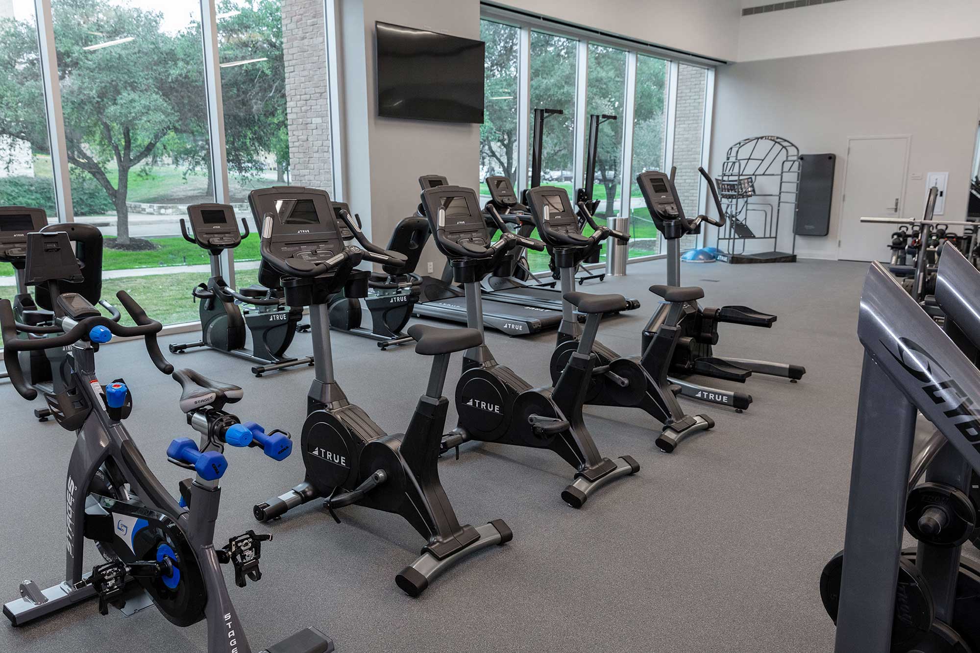 A bright gym room with stationary bikes, treadmills, and exercise equipment set near large windows overlooking greenery outside. Blue hand weights are visible on one bike.