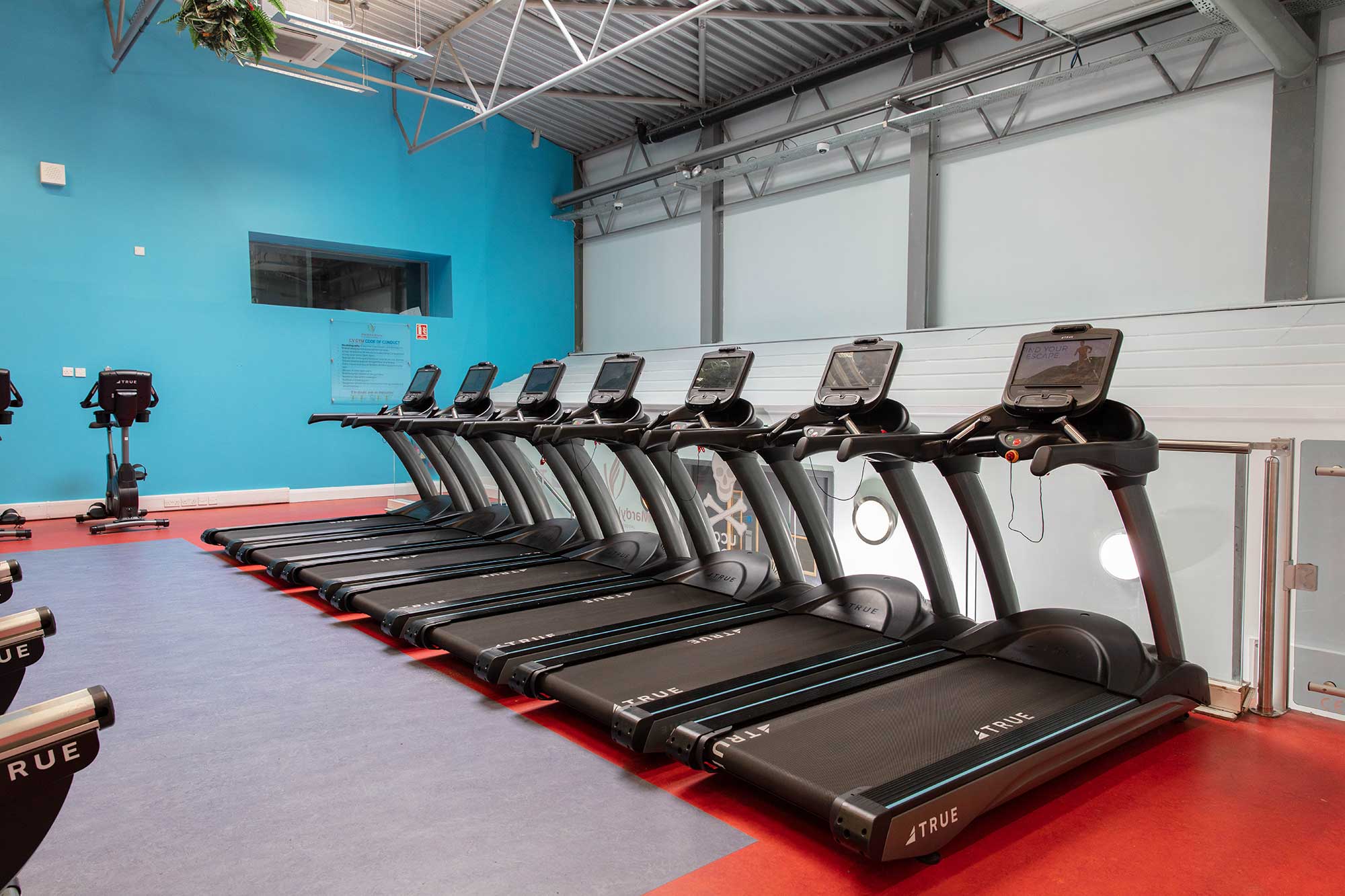 A row of seven treadmills is lined up in a brightly lit gym with blue walls and a high ceiling. The treadmills face a glass wall, and there are stationary bikes in the background.