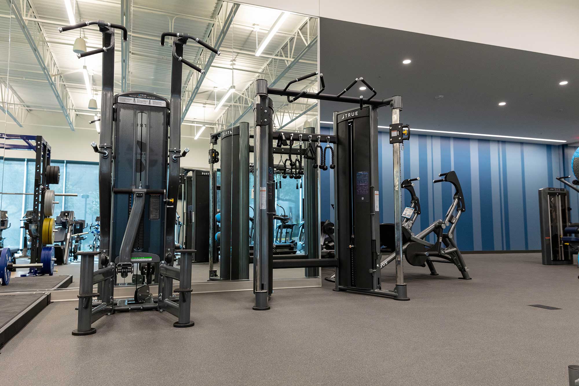 Modern gym interior with various exercise machines, including a cable machine and cardio equipment, set on gray flooring with blue striped walls and large mirrors reflecting the equipment.