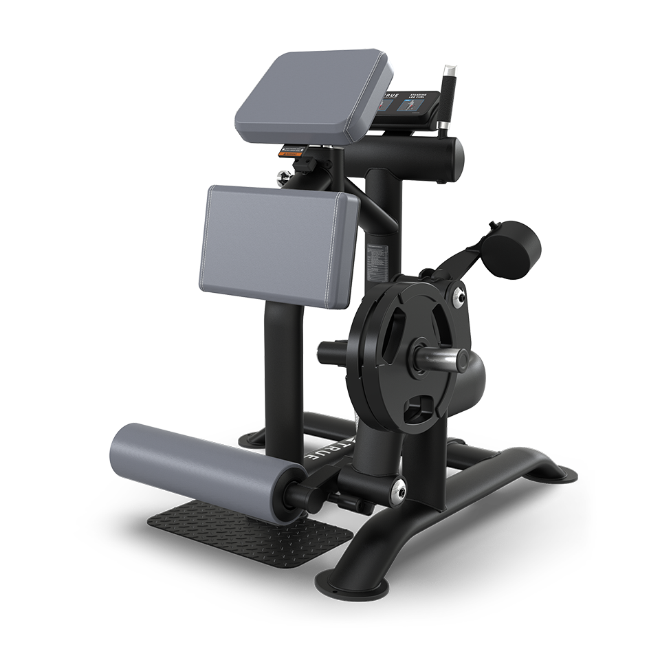 A black and gray gym machine with padded supports, weight plate holder, and metal frame, designed for leg and lower body exercises, displayed on a white background.