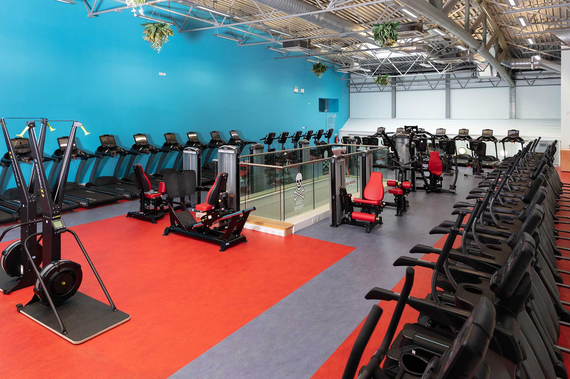 A spacious gym with rows of treadmills, stationary bikes, and various exercise machines on red and gray flooring, with blue walls and exposed ceiling pipes. Some plants hang from the ceiling.