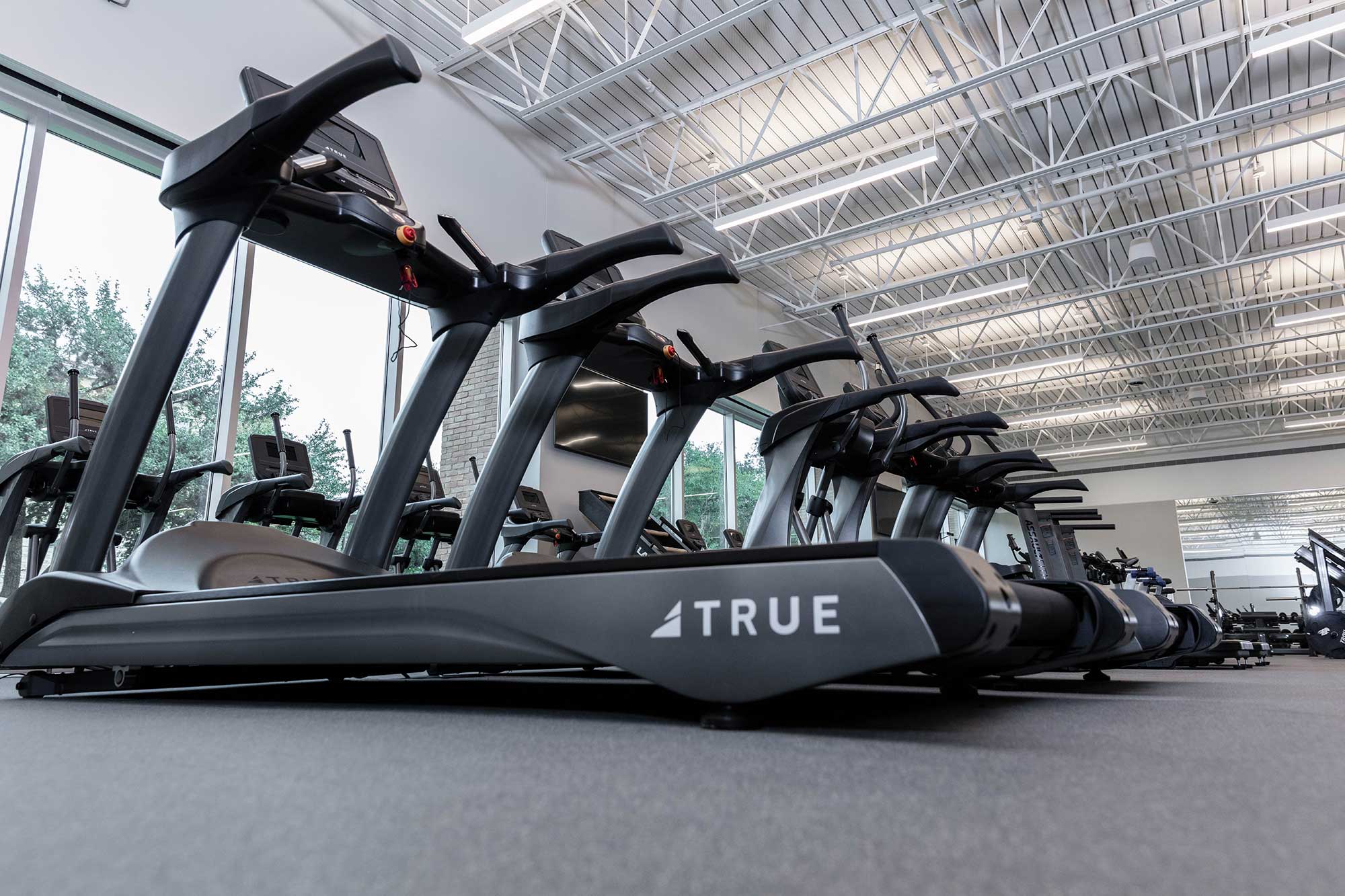 Several treadmills are lined up in a spacious, modern gym with large windows and high ceilings. The closest treadmill has the brand name “TRUE” visible on its side.