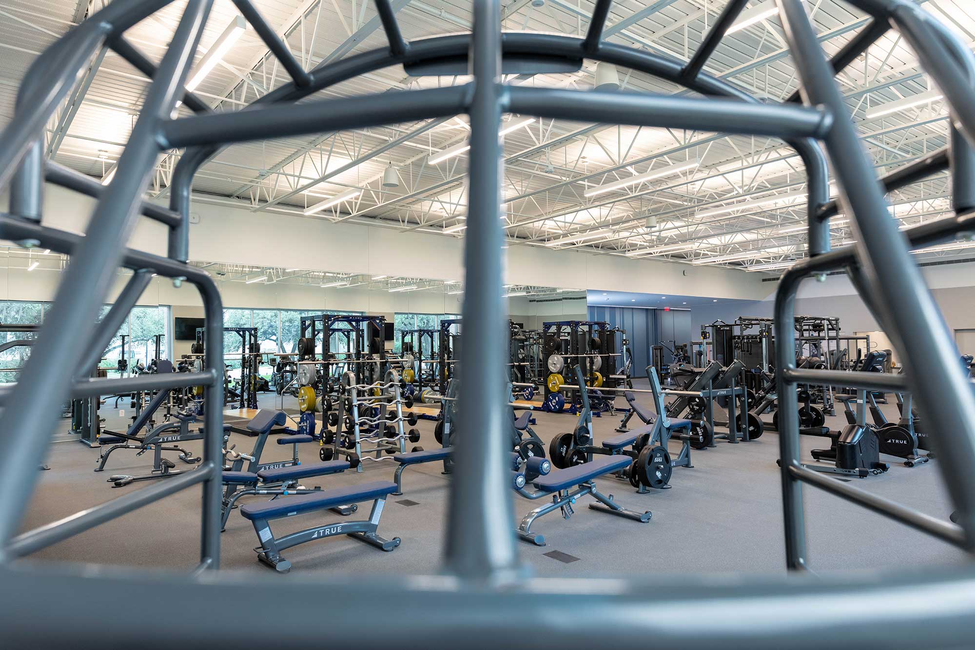 A spacious, modern gym filled with various exercise equipment like benches, weights, and machines, viewed through the metal bars of a climbing structure in the foreground. Bright natural light enters through large windows.