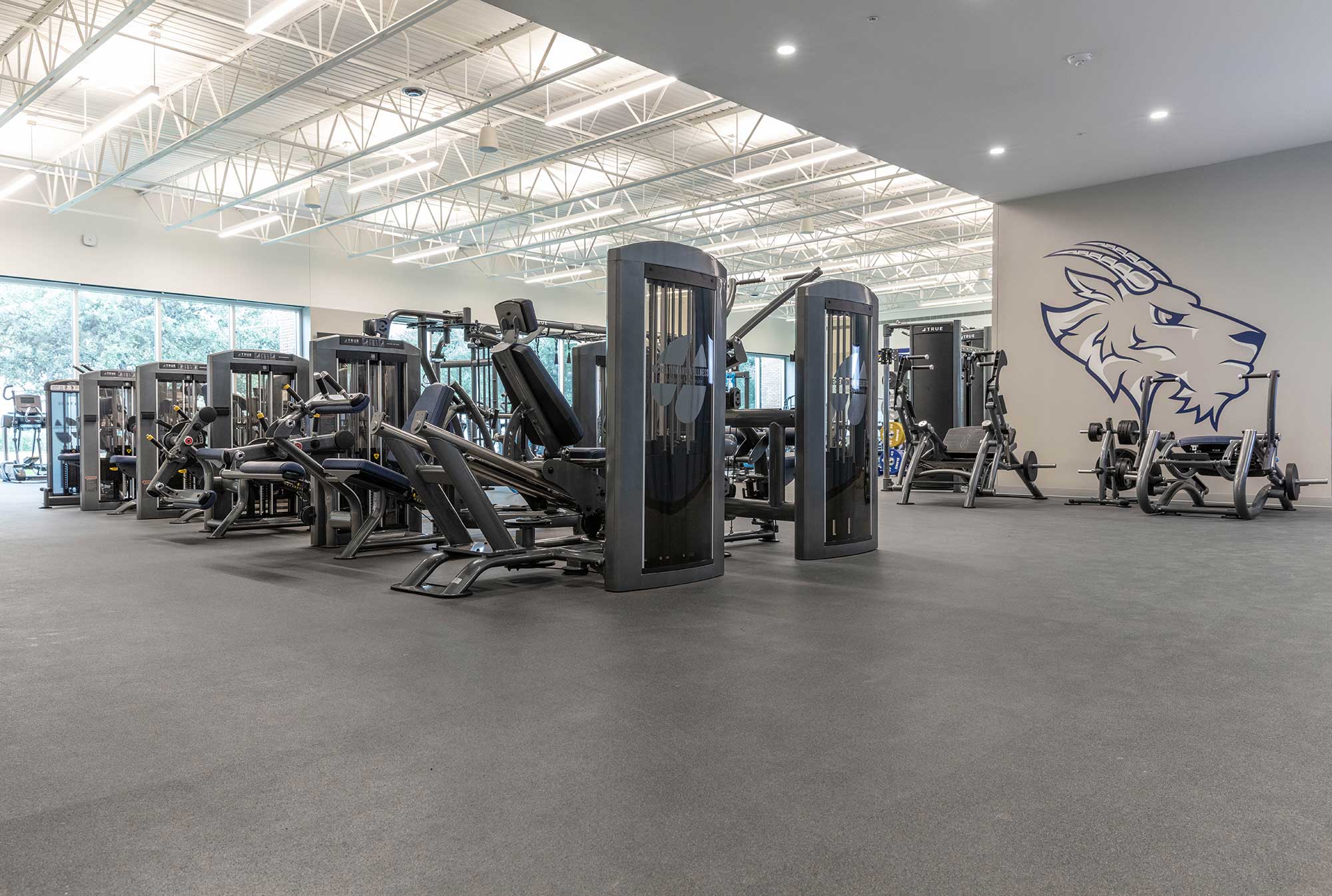 Spacious gym with various exercise machines, weight equipment, and benches on a clean floor. Large windows provide natural light, and a wall features a blue and white lion head mural.
