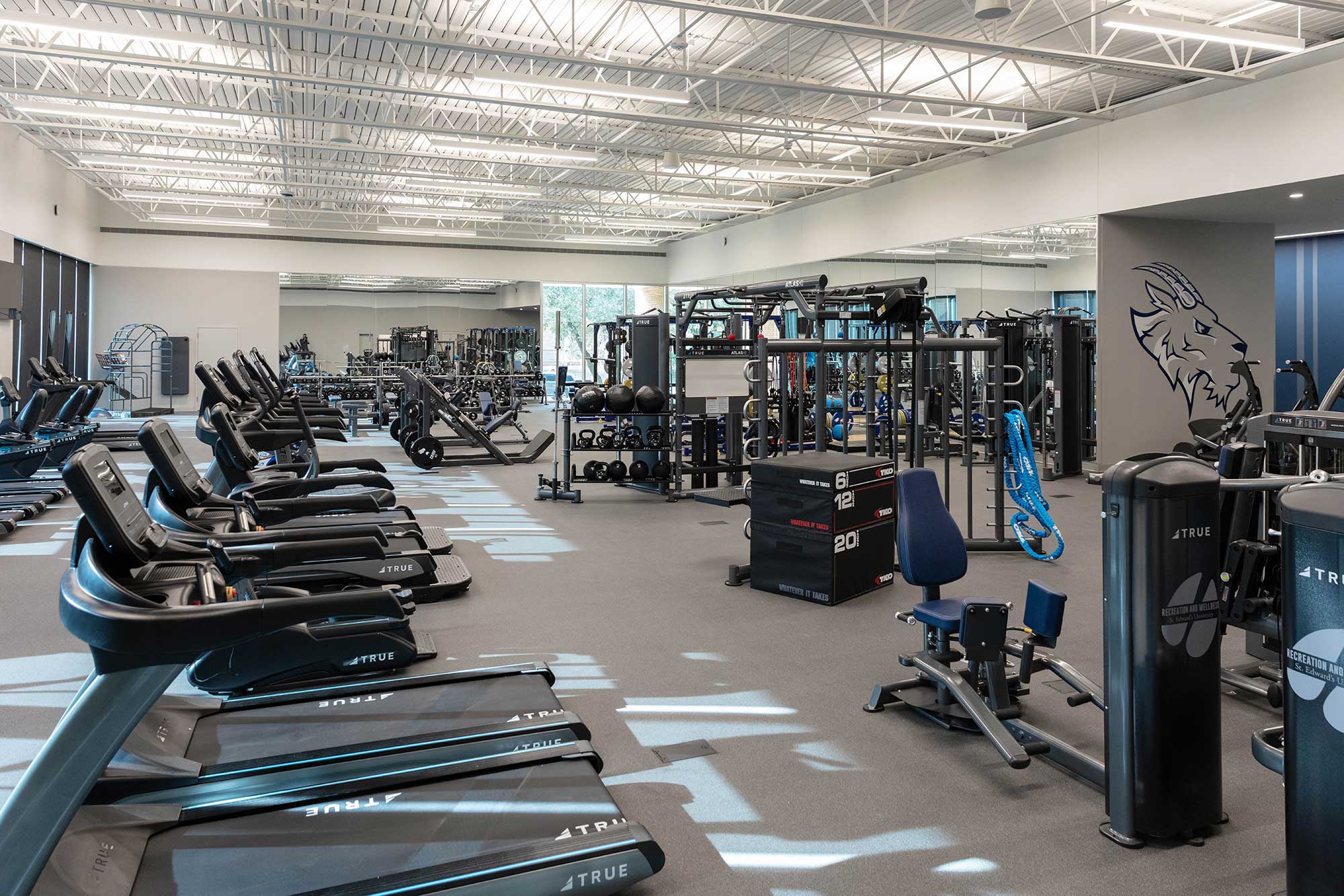 A spacious, modern gym with treadmills, weight machines, free weights, and various exercise equipment. The room has high ceilings, large windows, and a wolf logo on the wall. The gym is clean and well-lit.