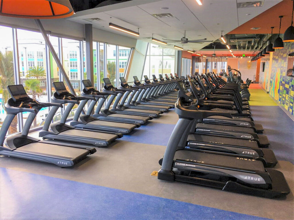 A spacious gym with large windows and rows of treadmills lined up side by side on a blue and gray floor. The gym is brightly lit with modern decor and views of buildings and palm trees outside.