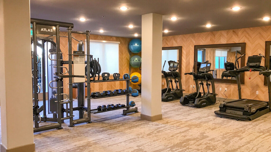 A modern gym with weight machines, free weights, kettlebells, medicine balls, stability balls, and several cardio machines including treadmills and elliptical trainers, set in a well-lit room with mirrors and wood-patterned walls.