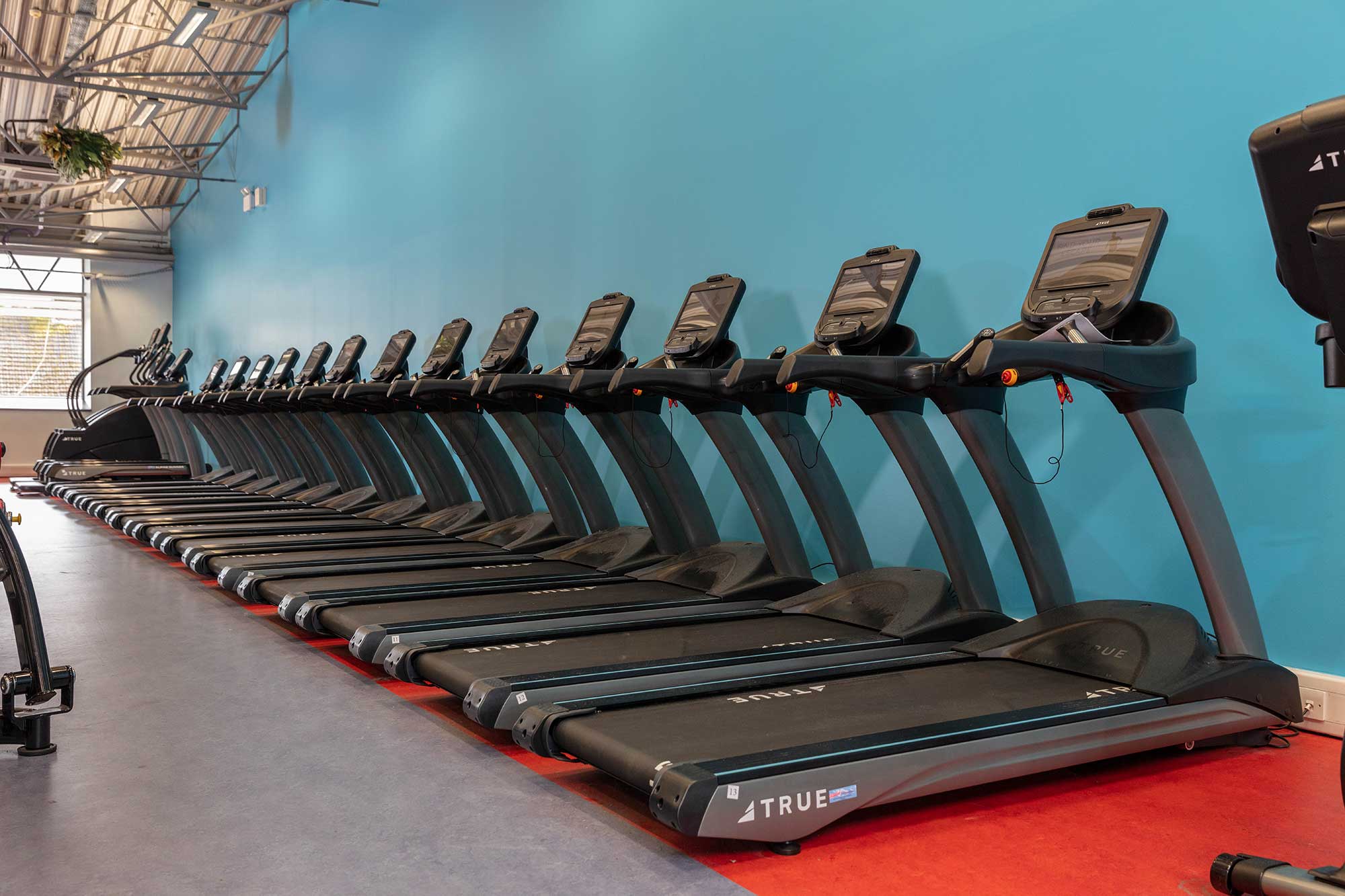 A row of black treadmills lined up against a blue wall in a brightly lit gym with red and gray flooring.