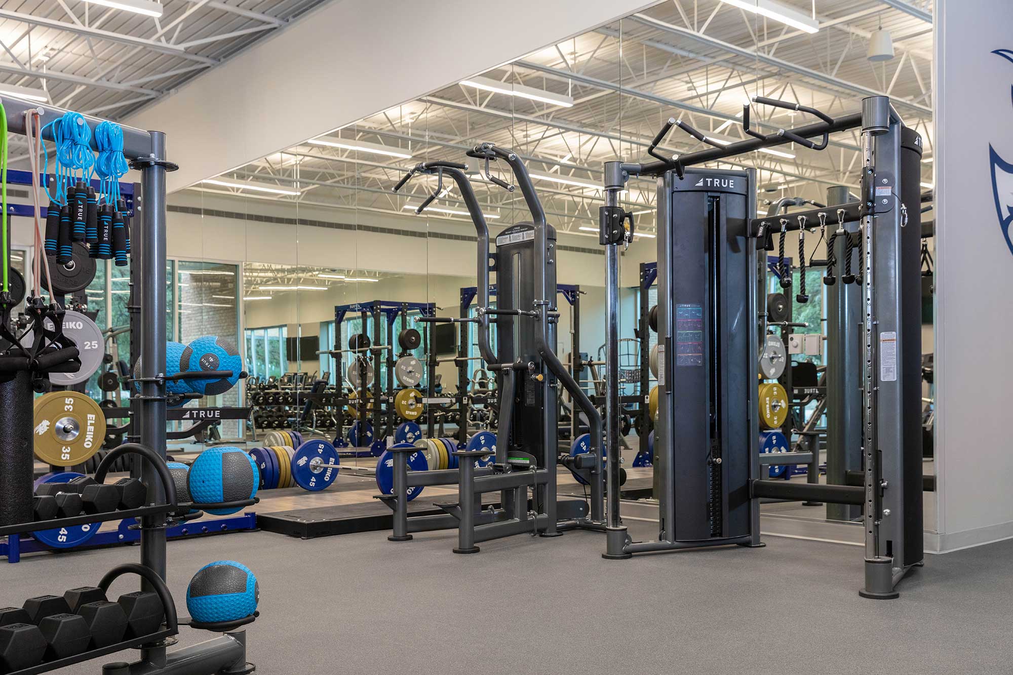 Modern gym with strength training equipment, including cable machines, barbells, weight plates, medicine balls, and resistance bands. Large mirrors cover the wall and bright overhead lighting illuminates the spacious workout area.
