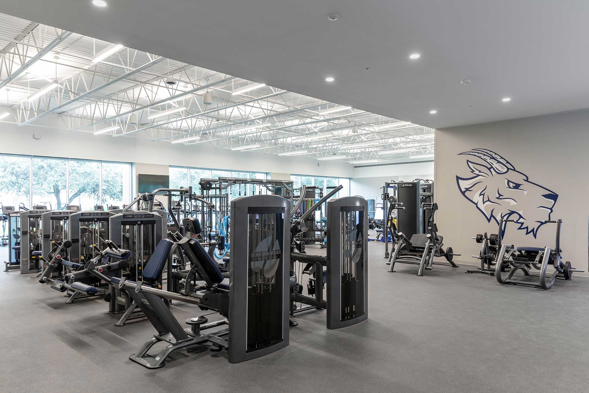 A spacious, modern gym with various exercise machines and weight equipment, large windows letting in natural light, and a stylized wildcat or lynx mural on the wall.