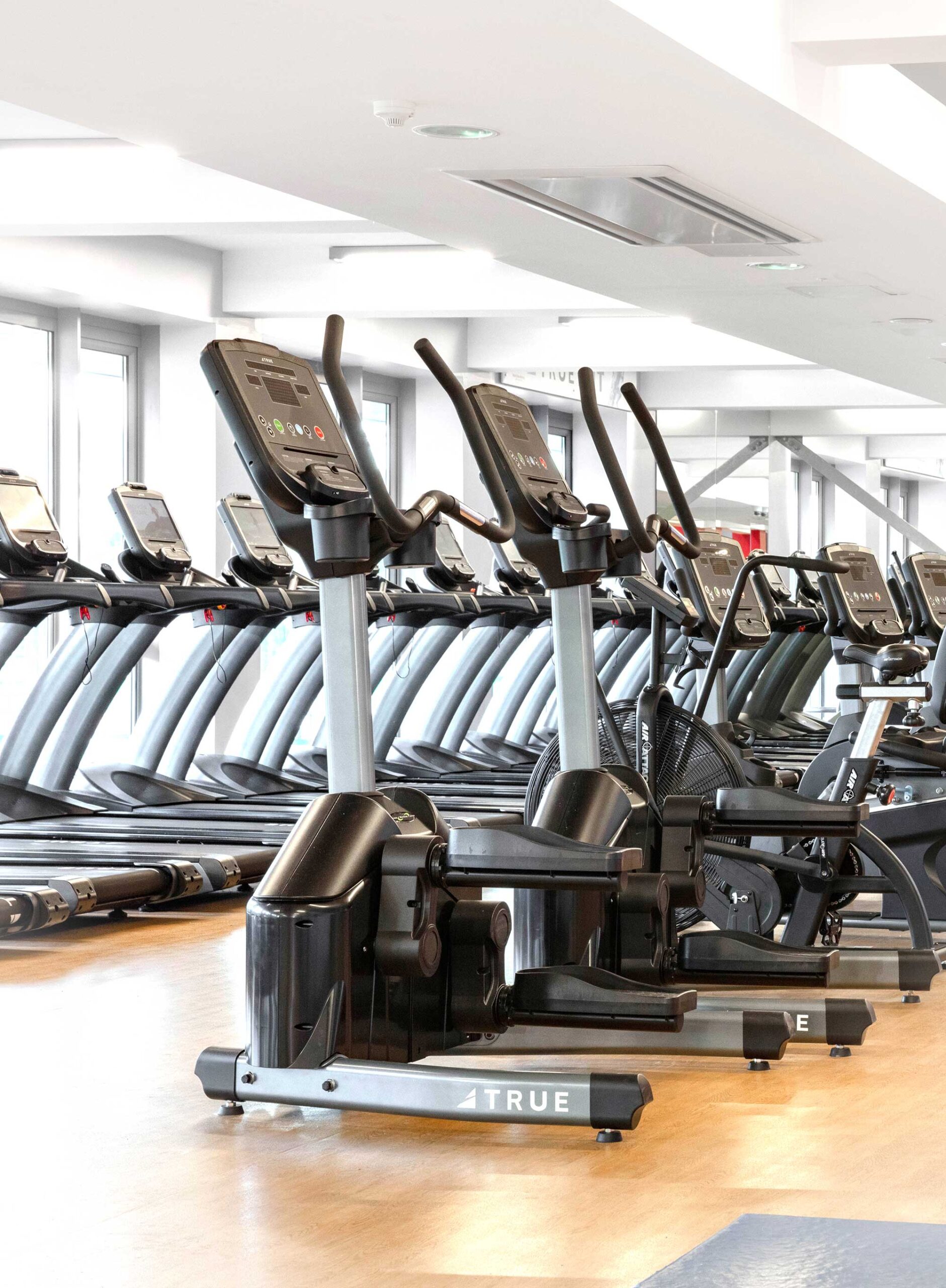 A row of treadmills and elliptical machines in a bright, modern gym with large windows and wooden floors. The equipment is neatly arranged and the space is well-lit.